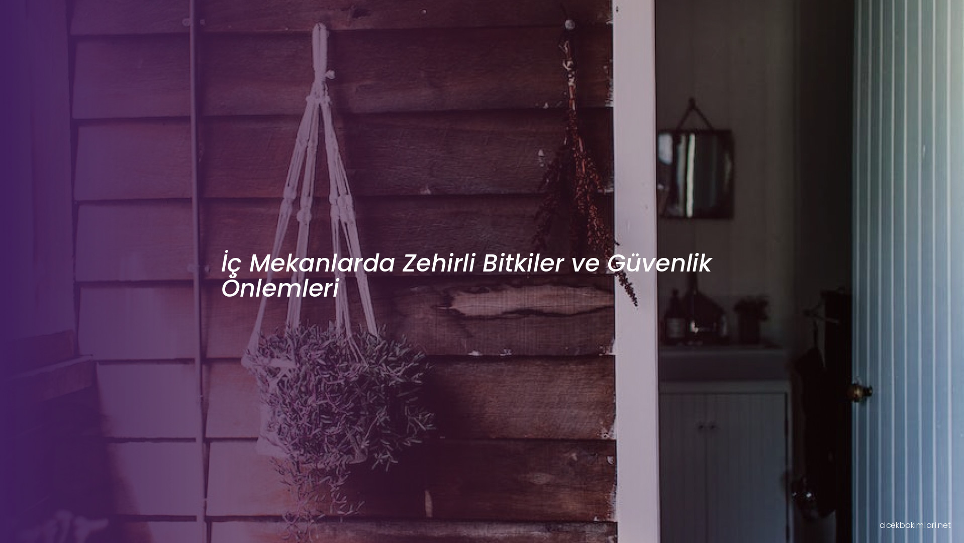 İç Mekanlarda Zehirli Bitkiler ve Güvenlik Önlemleri