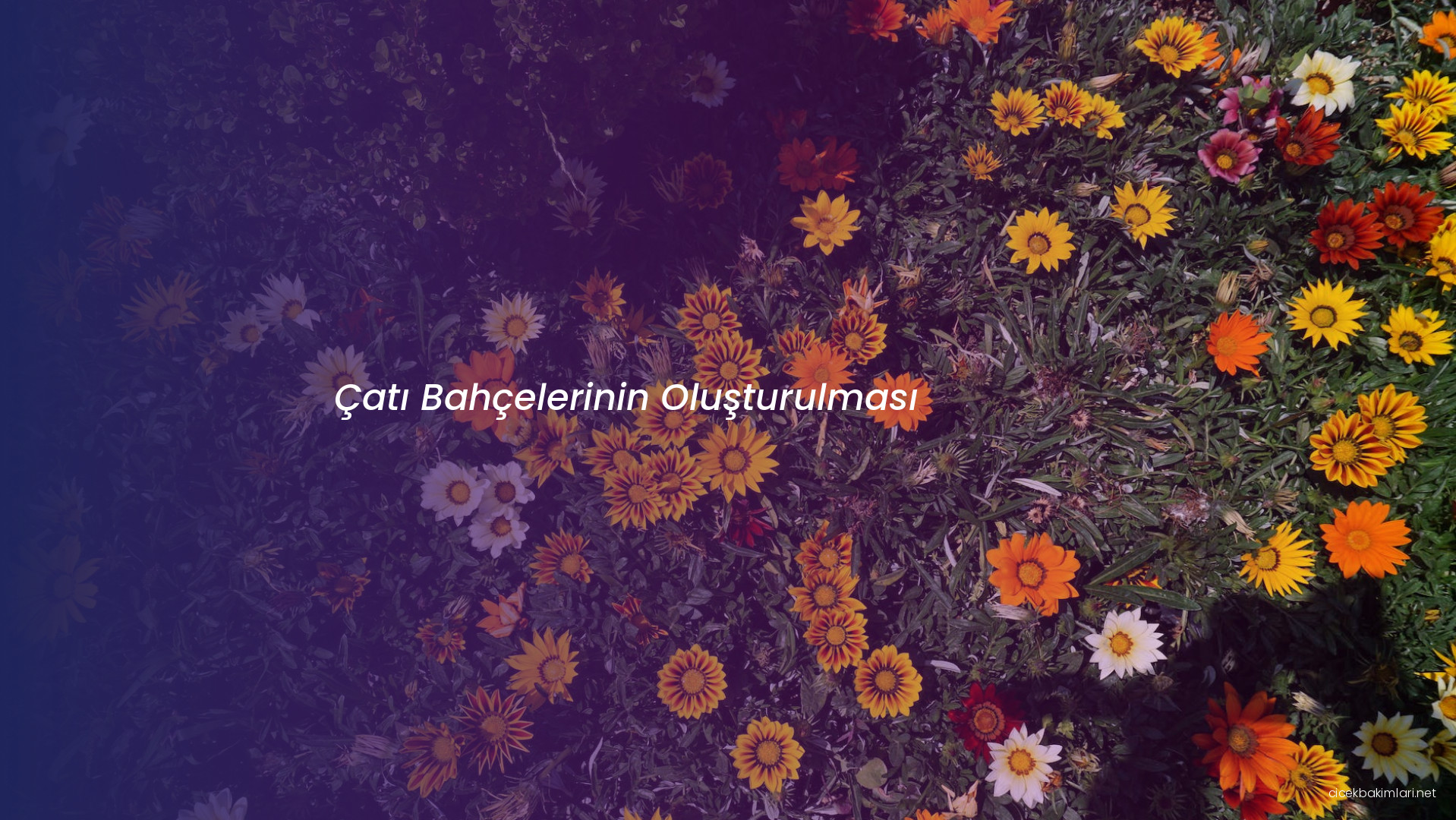 Çatı Bahçelerinin Oluşturulması