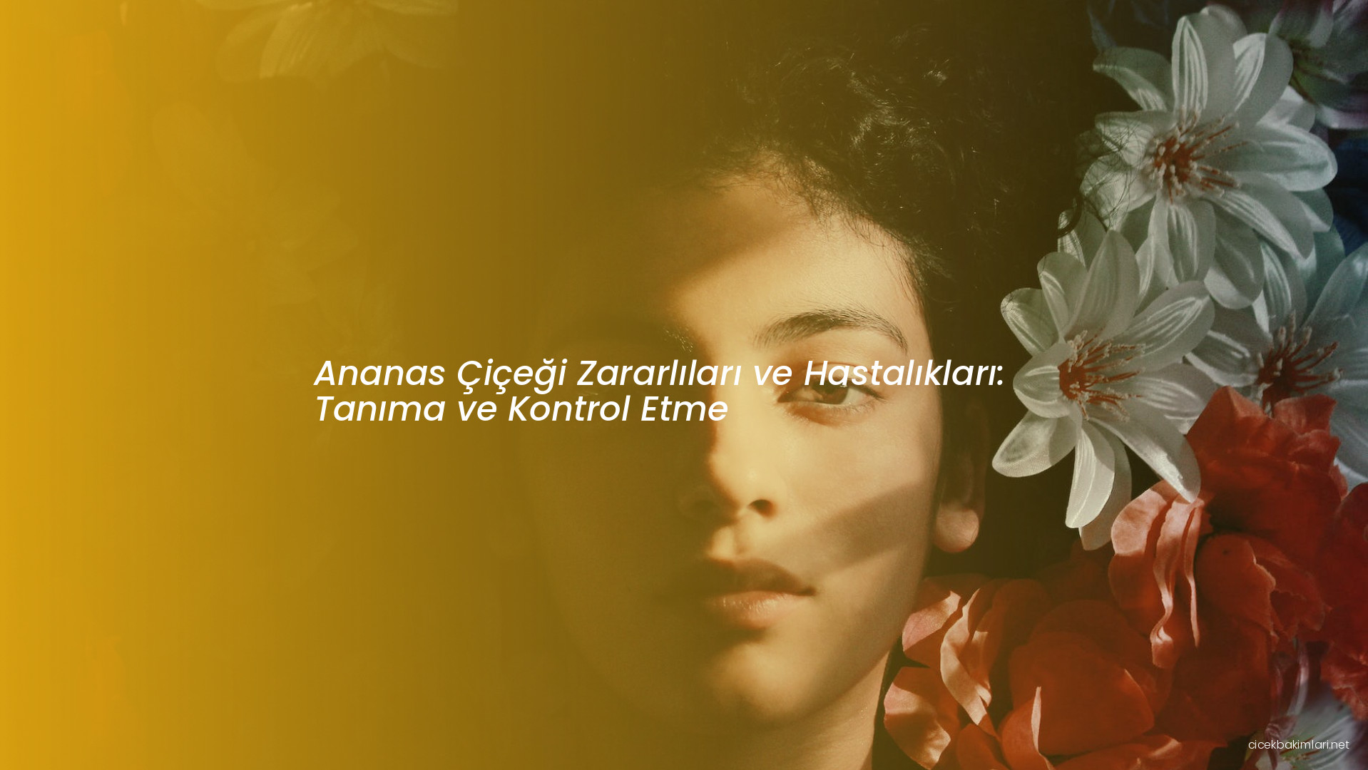 Ananas Çiçeği Zararlıları ve Hastalıkları: Tanıma ve Kontrol Etme