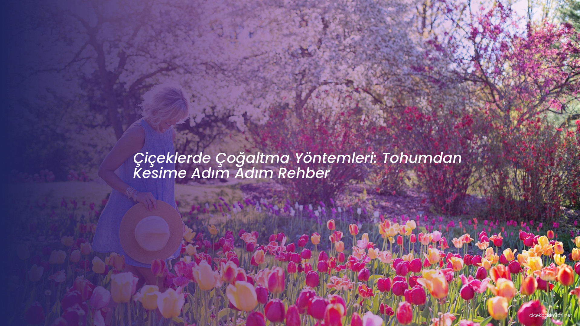 Çiçeklerde Çoğaltma Yöntemleri: Tohumdan Kesime Adım Adım Rehber