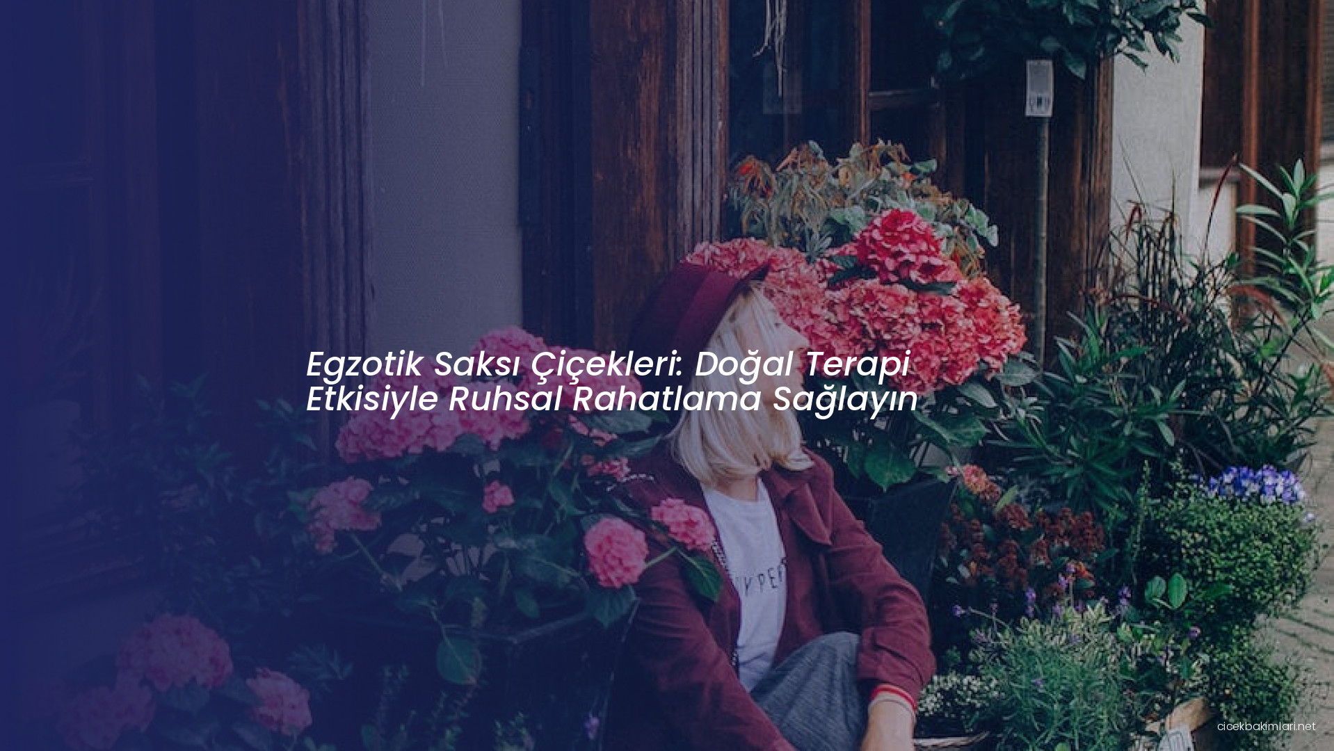 Egzotik Saksı Çiçekleri: Doğal Terapi Etkisiyle Ruhsal Rahatlama Sağlayın