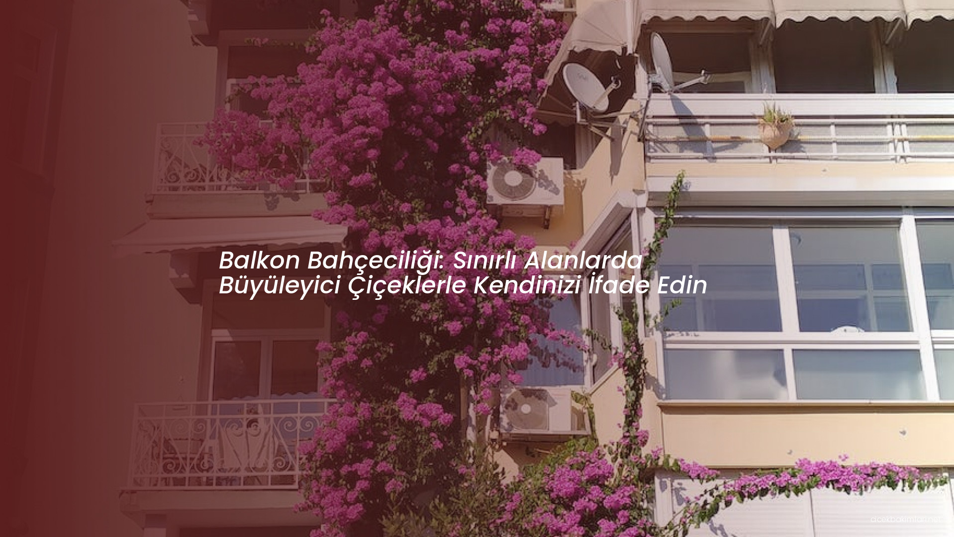 Balkon Bahçeciliği: Sınırlı Alanlarda Büyüleyici Çiçeklerle Kendinizi İfade Edin