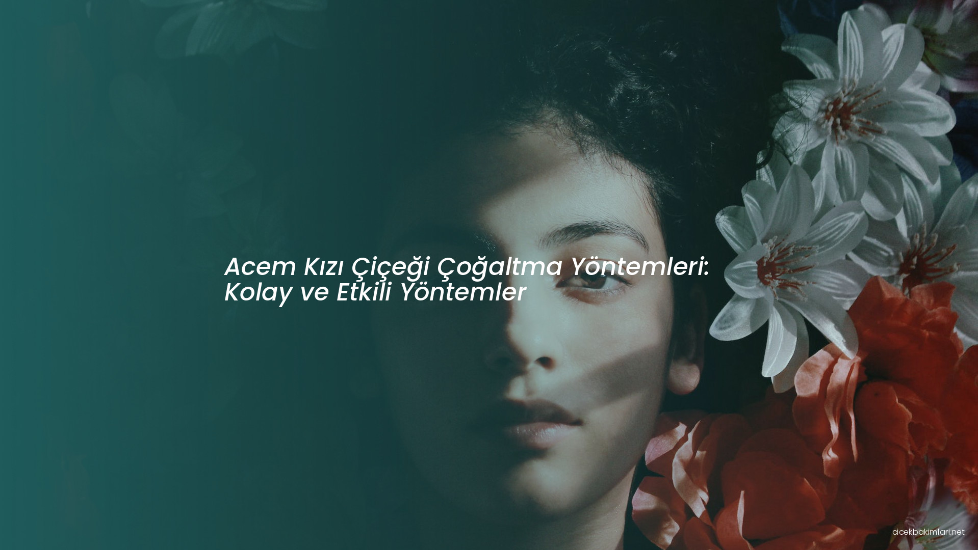 Acem Kızı Çiçeği Çoğaltma Yöntemleri: Kolay ve Etkili Yöntemler