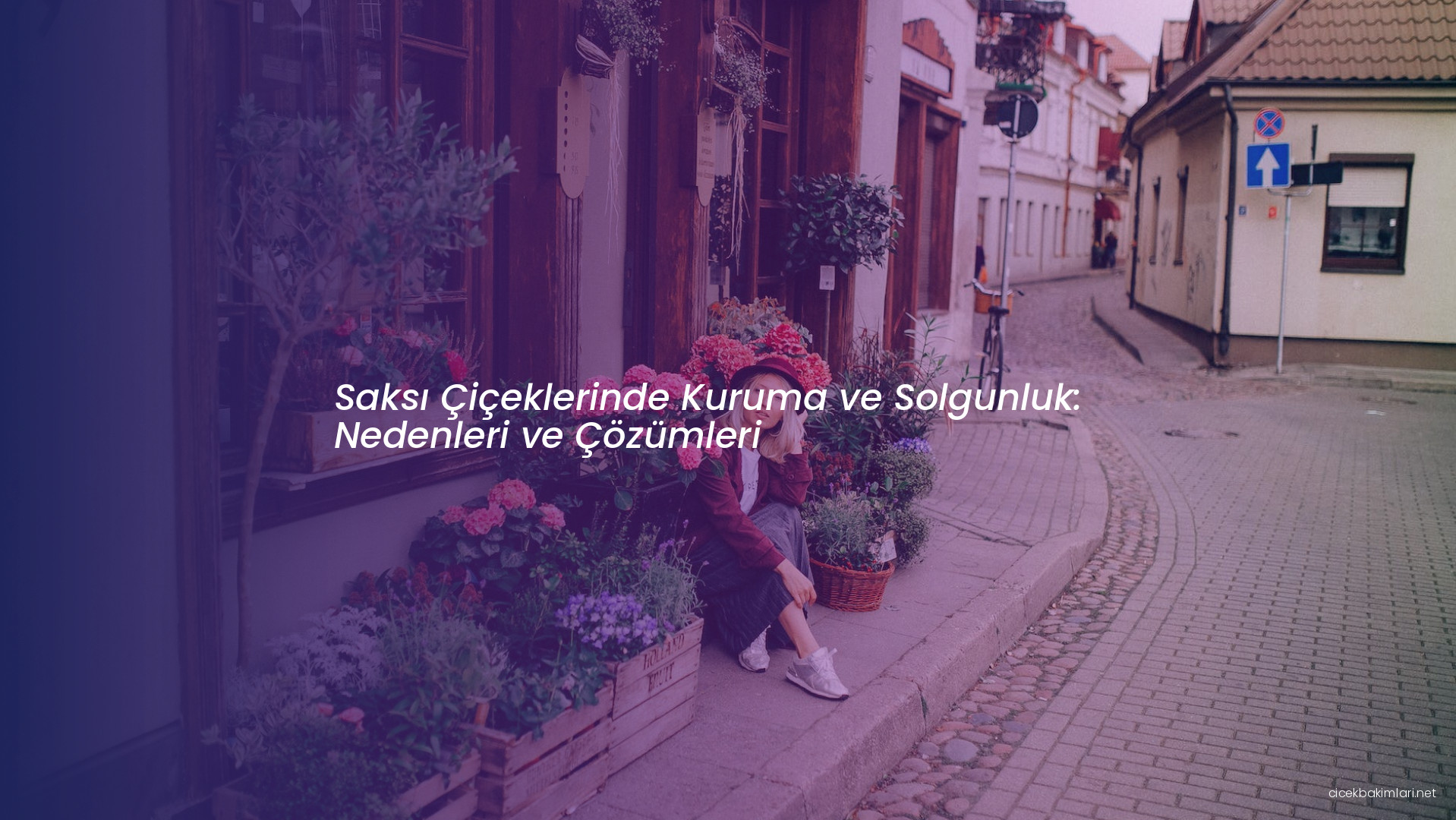 Saksı Çiçeklerinde Kuruma ve Solgunluk: Nedenleri ve Çözümleri