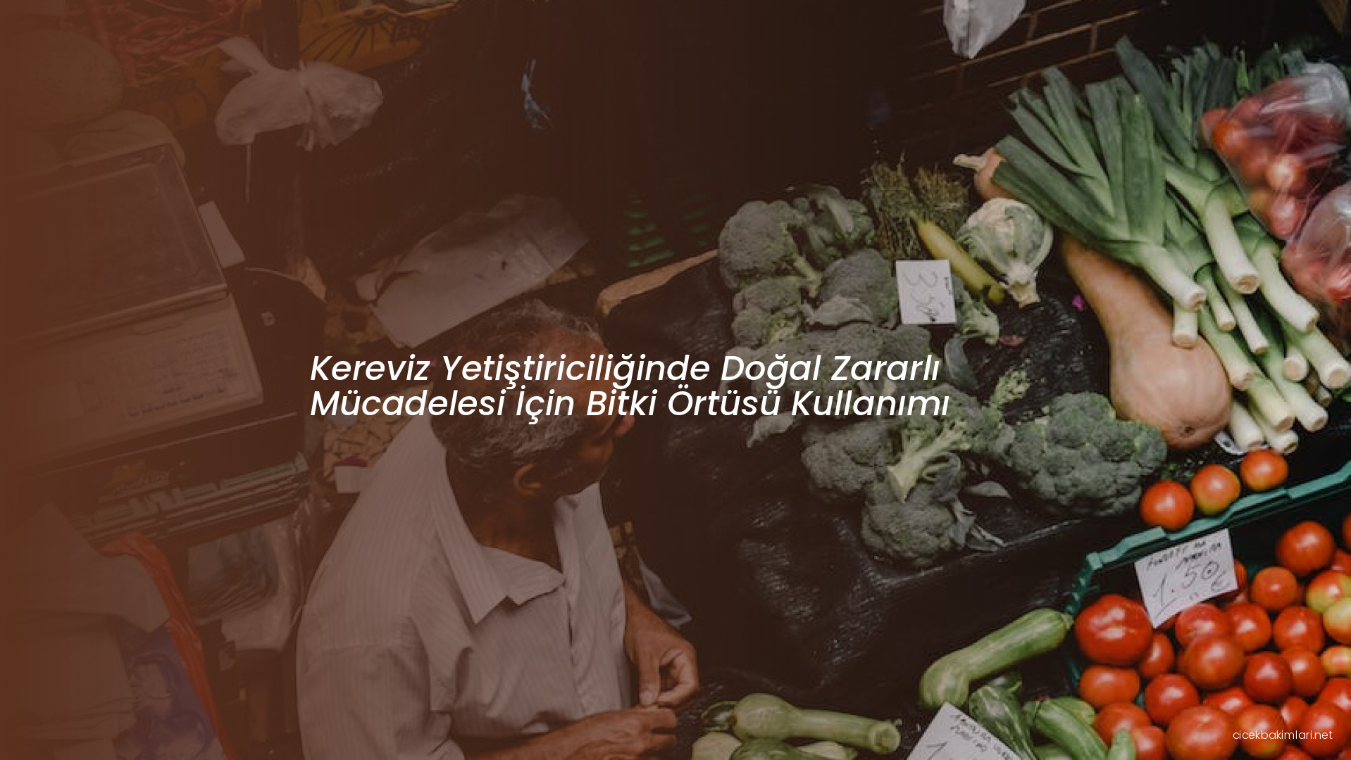 Kereviz Yetiştiriciliğinde Doğal Zararlı Mücadelesi İçin Bitki Örtüsü Kullanımı