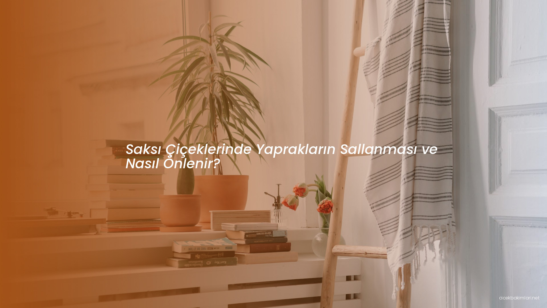 Saksı Çiçeklerinde Yaprakların Sallanması ve Nasıl Önlenir?