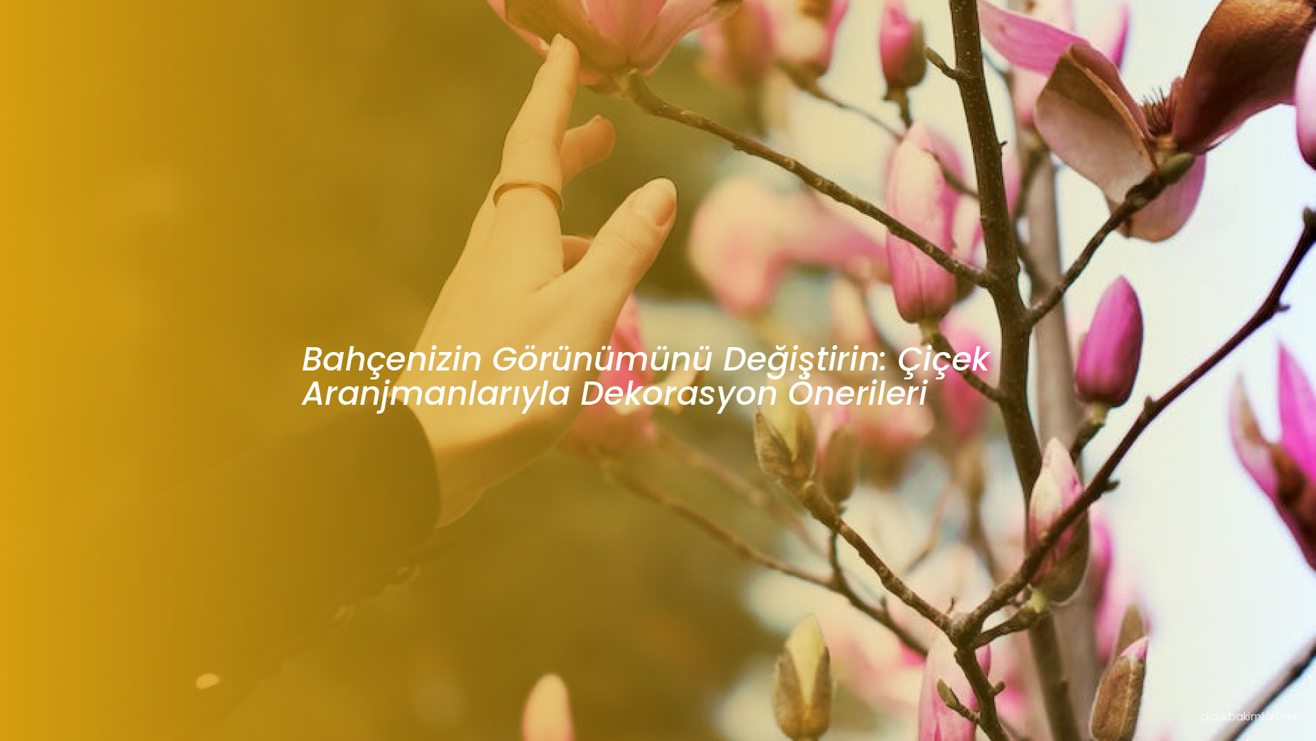 Bahçenizin Görünümünü Değiştirin: Çiçek Aranjmanlarıyla Dekorasyon Önerileri