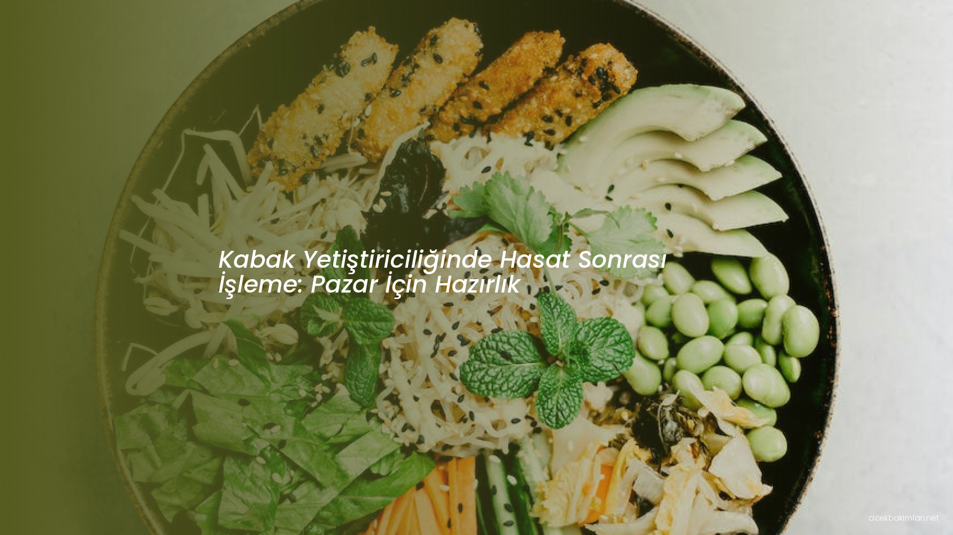 Kabak Yetiştiriciliğinde Hasat Sonrası İşleme: Pazar İçin Hazırlık