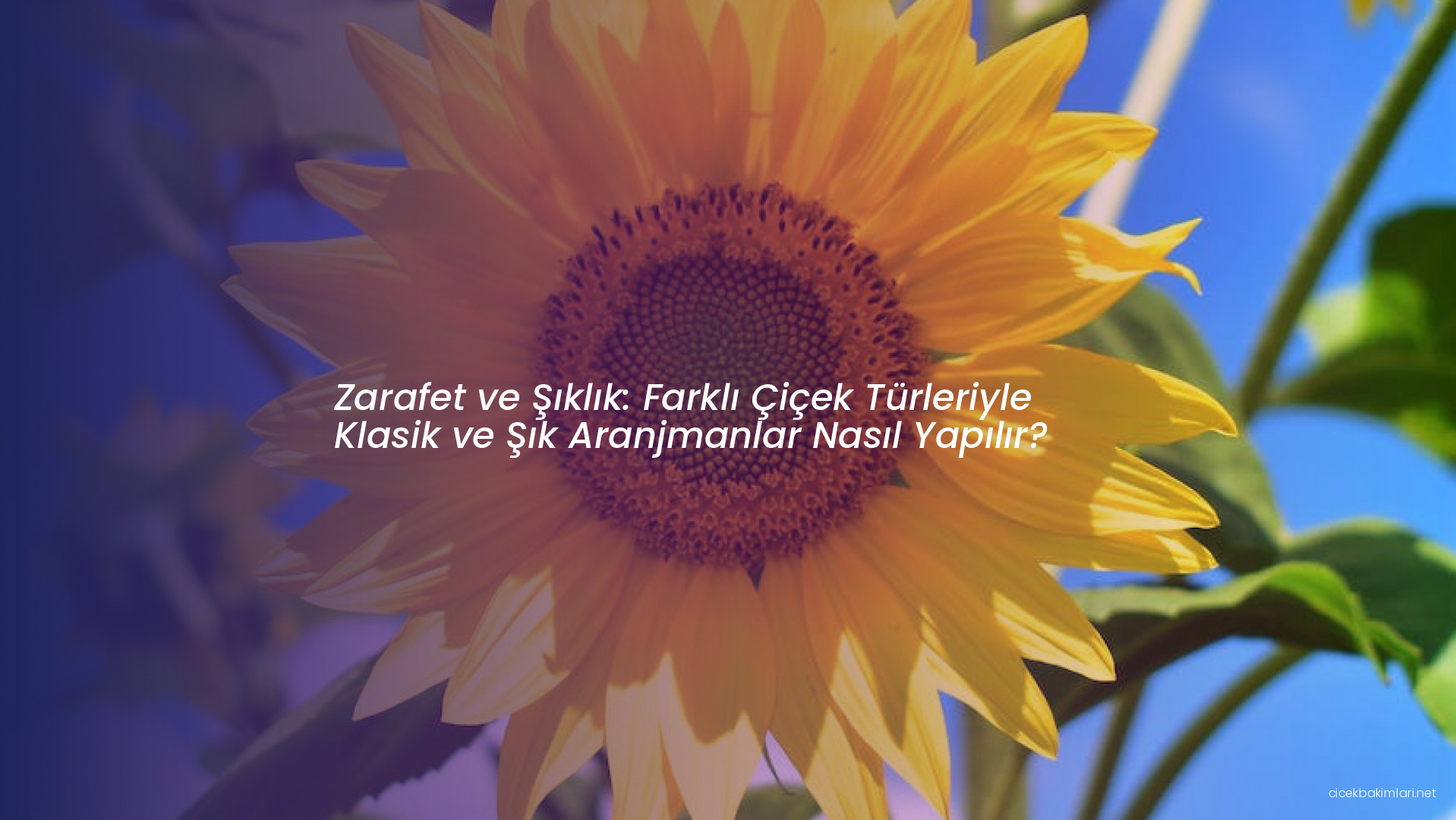 Zarafet ve Şıklık: Farklı Çiçek Türleriyle Klasik ve Şık Aranjmanlar Nasıl Yapılır?