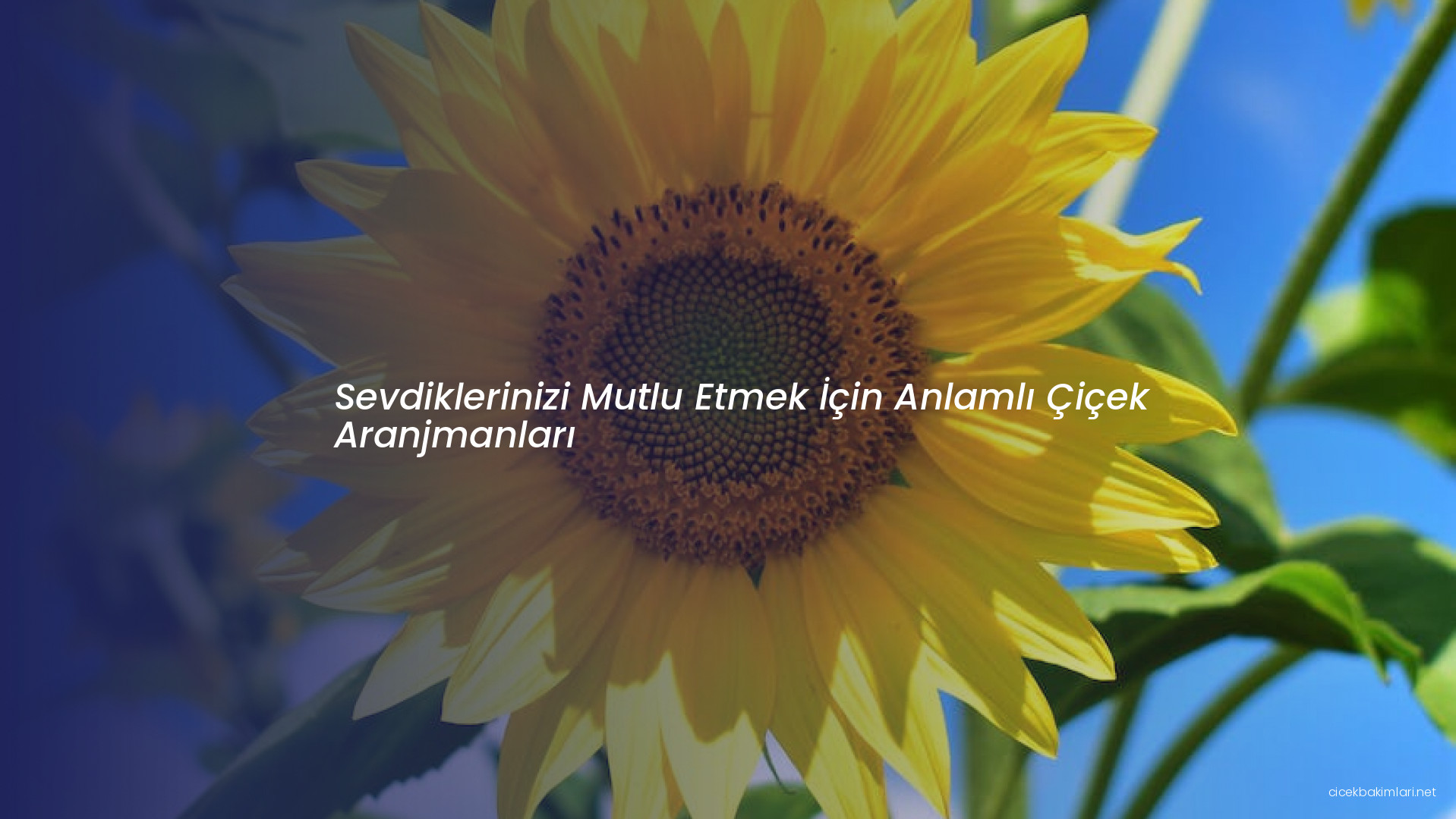 Sevdiklerinizi Mutlu Etmek İçin Anlamlı Çiçek Aranjmanları