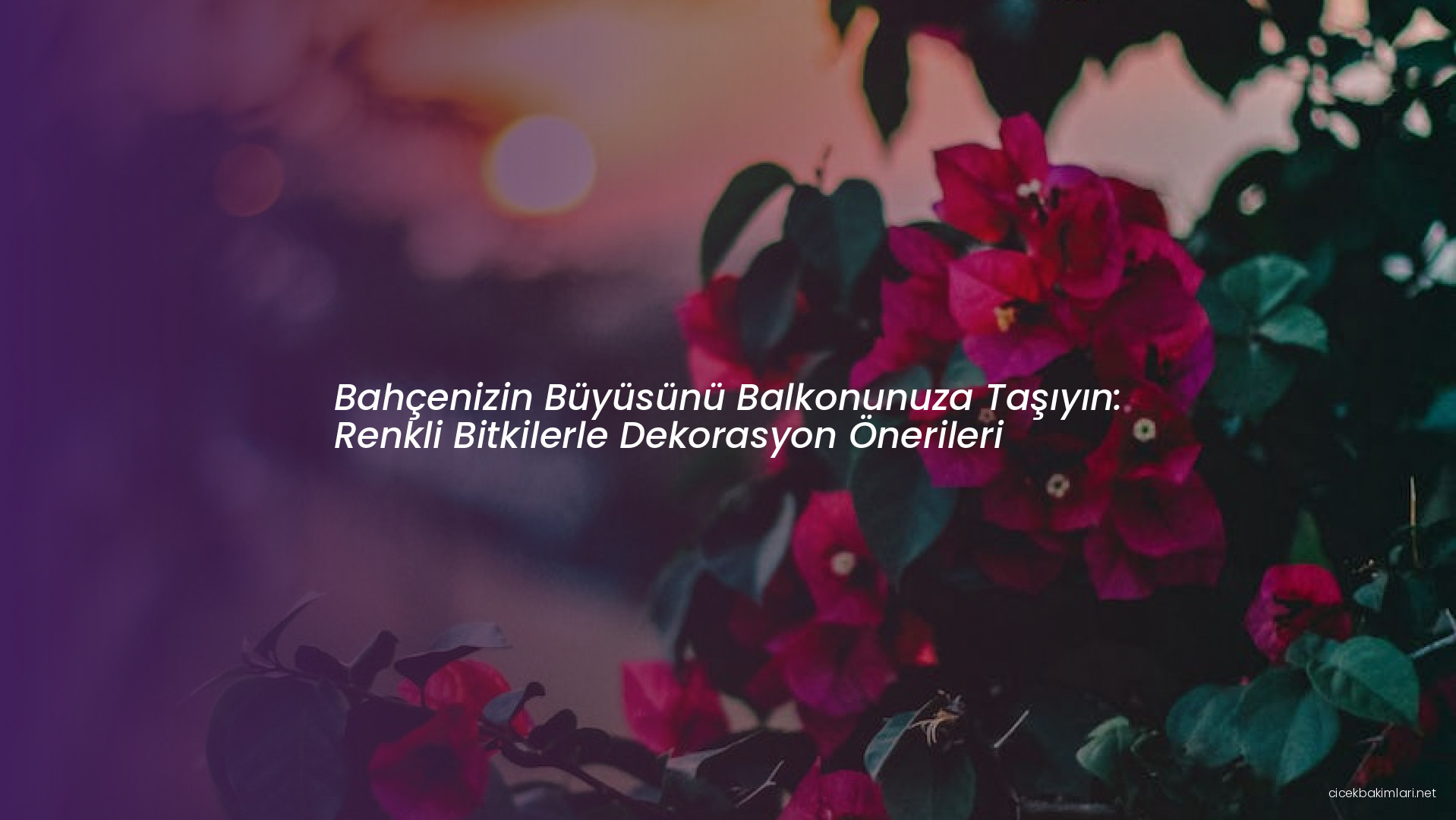 Bahçenizin Büyüsünü Balkonunuza Taşıyın: Renkli Bitkilerle Dekorasyon Önerileri