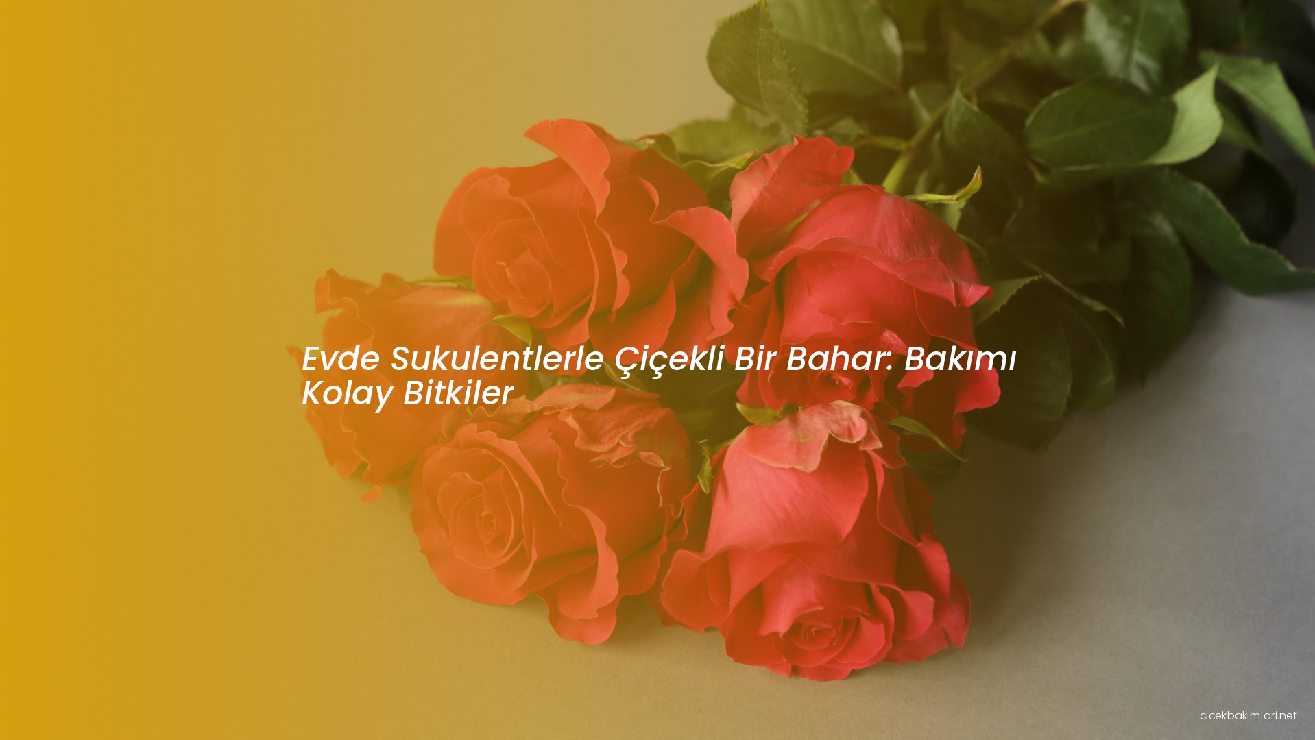 Evde Sukulentlerle Çiçekli Bir Bahar: Bakımı Kolay Bitkiler