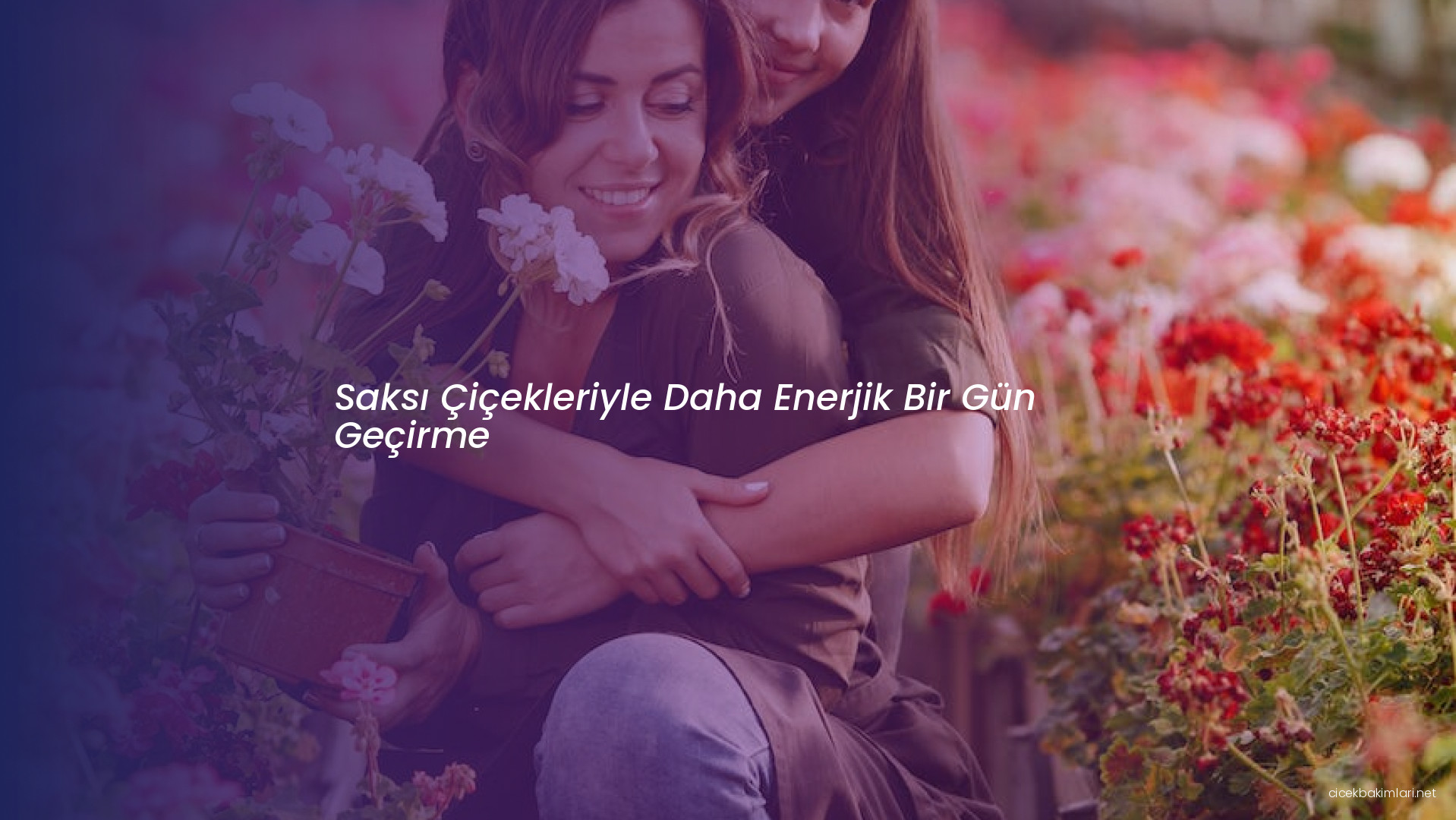 Saksı Çiçekleriyle Daha Enerjik Bir Gün Geçirme