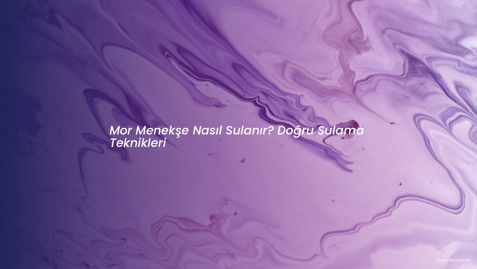 Mor Menekşe Nasıl Sulanır? Doğru Sulama Teknikleri