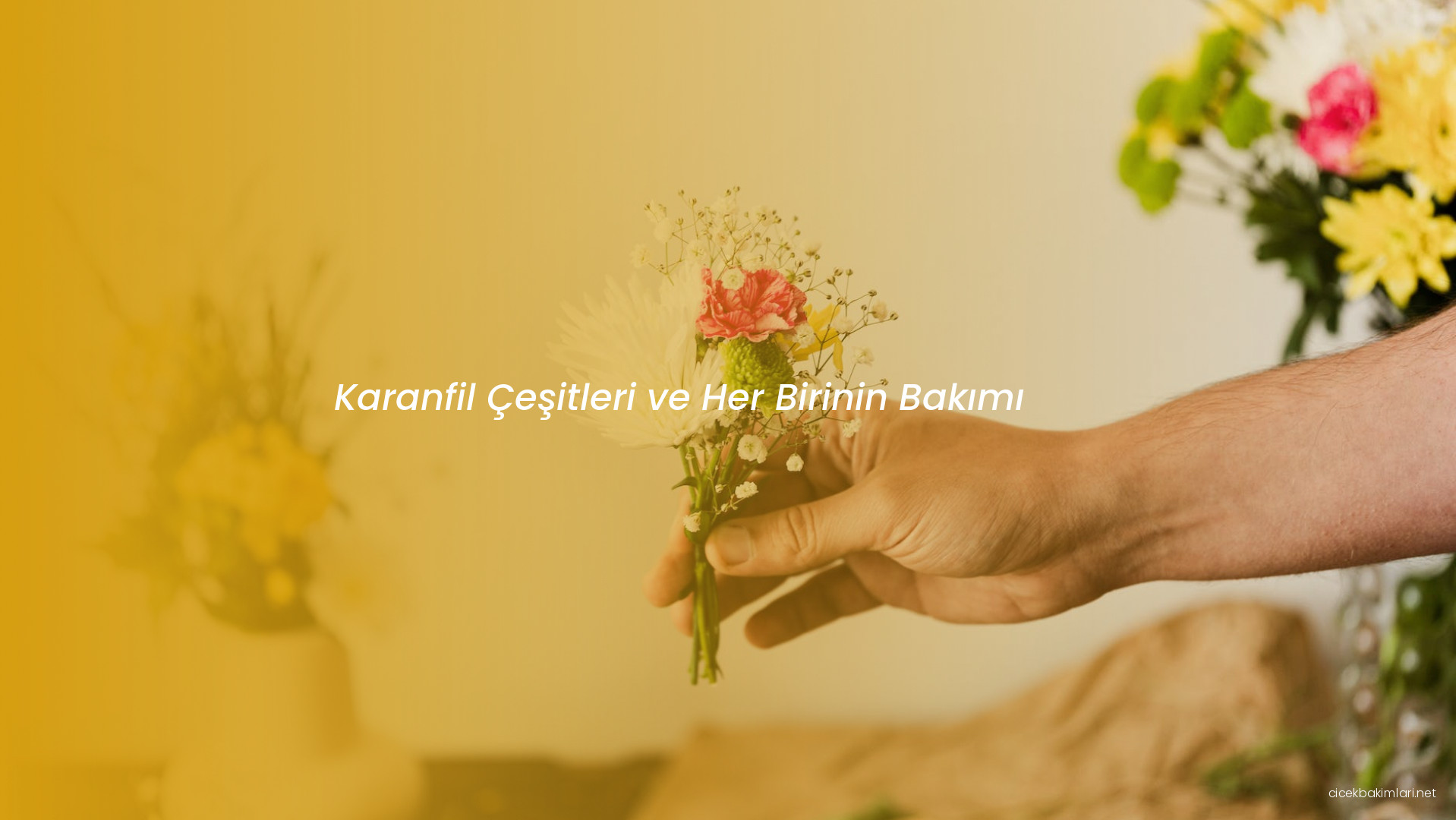 Karanfil Çeşitleri ve Her Birinin Bakımı