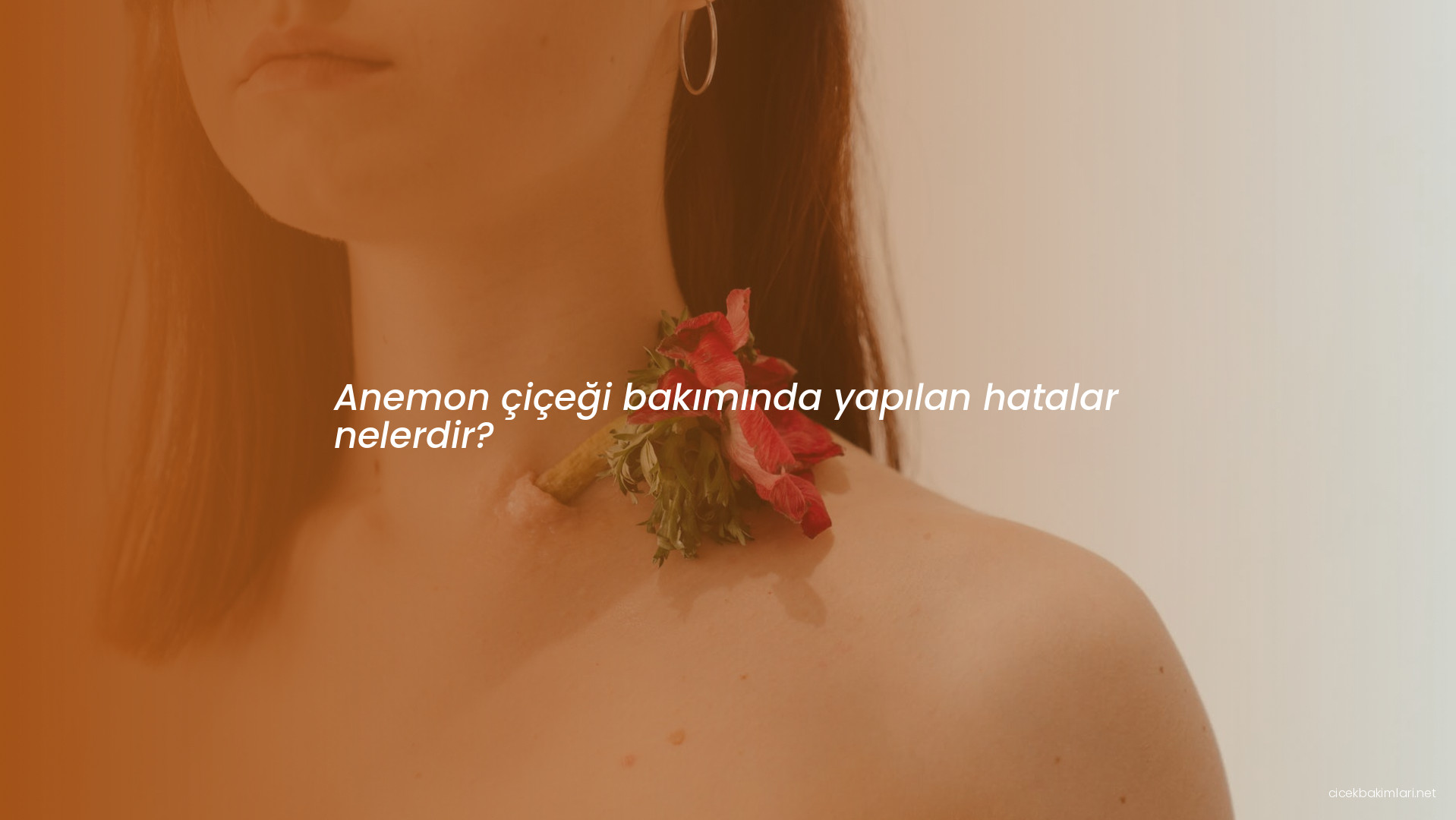 Anemon çiçeği bakımında yapılan hatalar nelerdir?