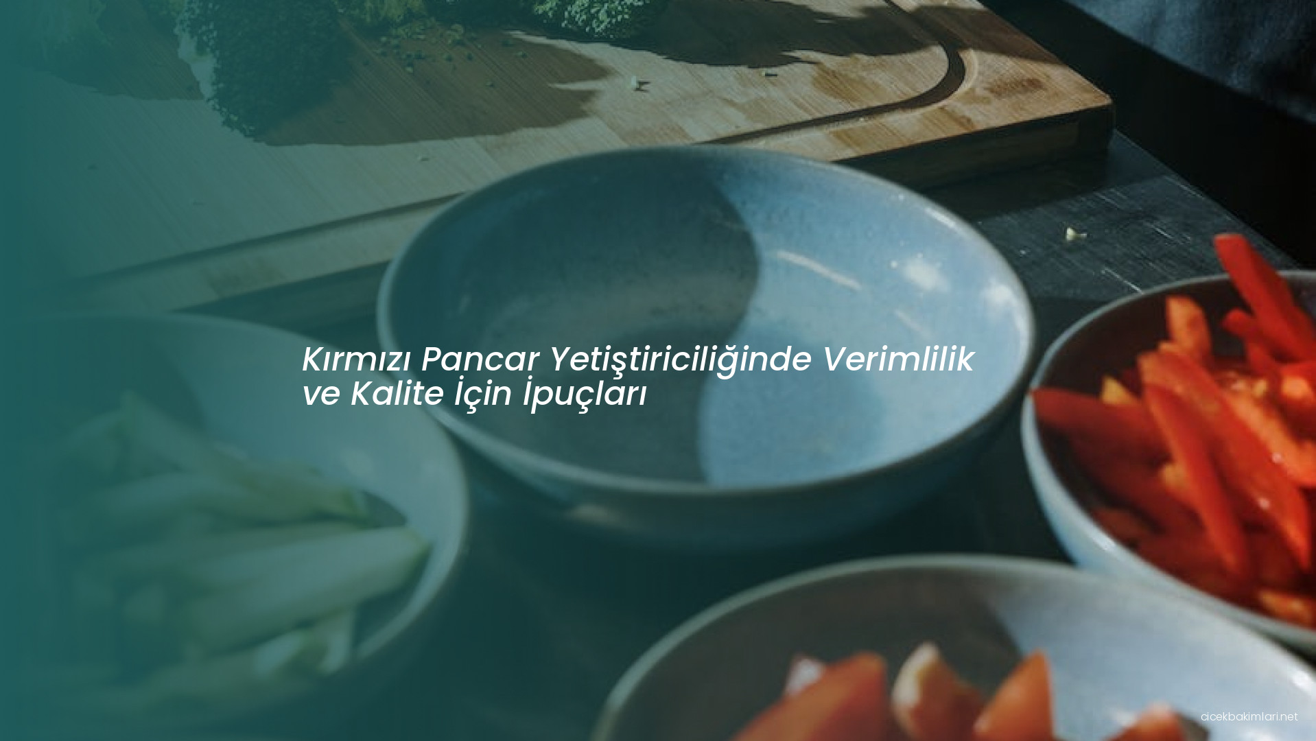 Kırmızı Pancar Yetiştiriciliğinde Verimlilik ve Kalite İçin İpuçları