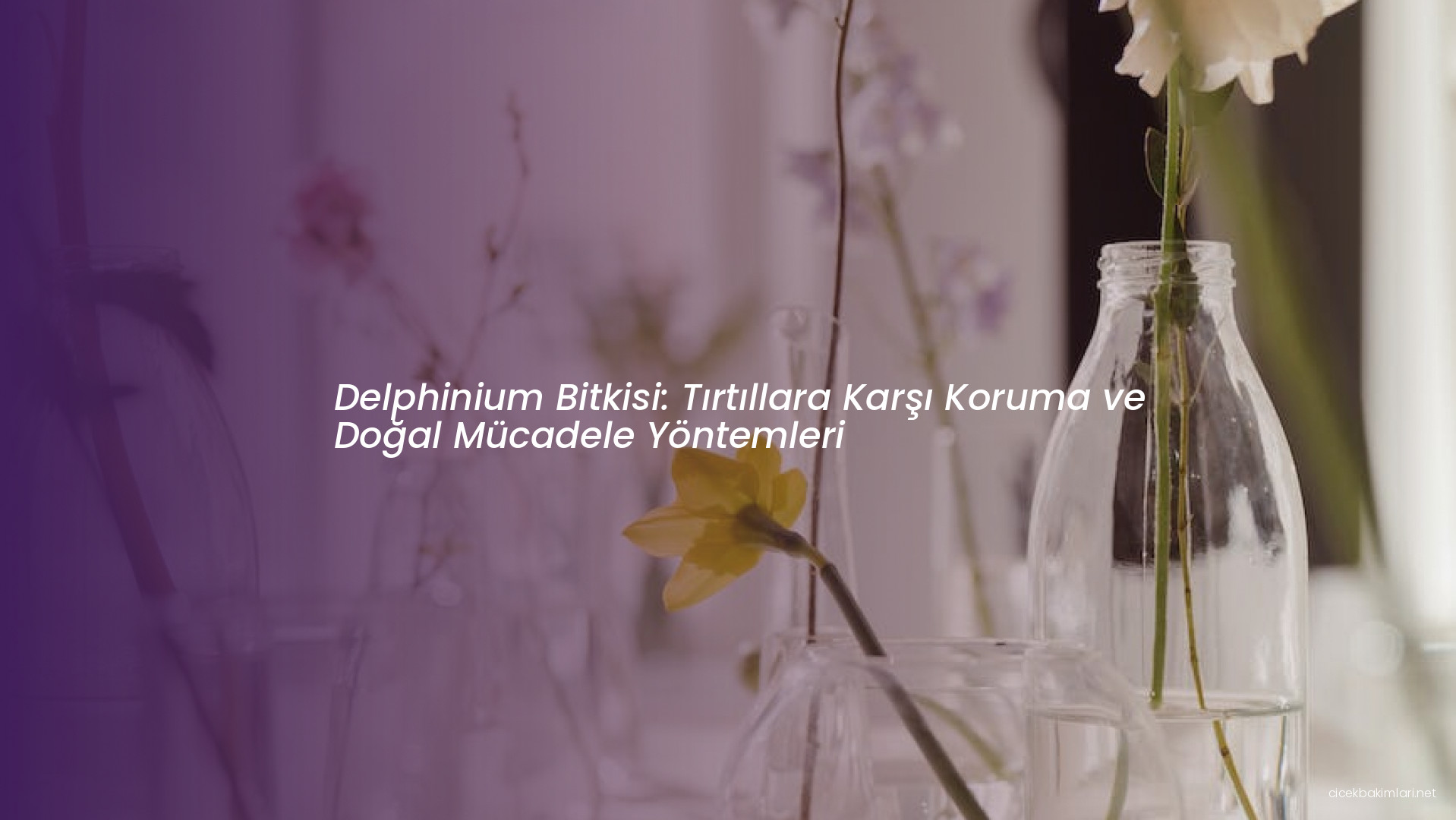 Delphinium Bitkisi: Tırtıllara Karşı Koruma ve Doğal Mücadele Yöntemleri
