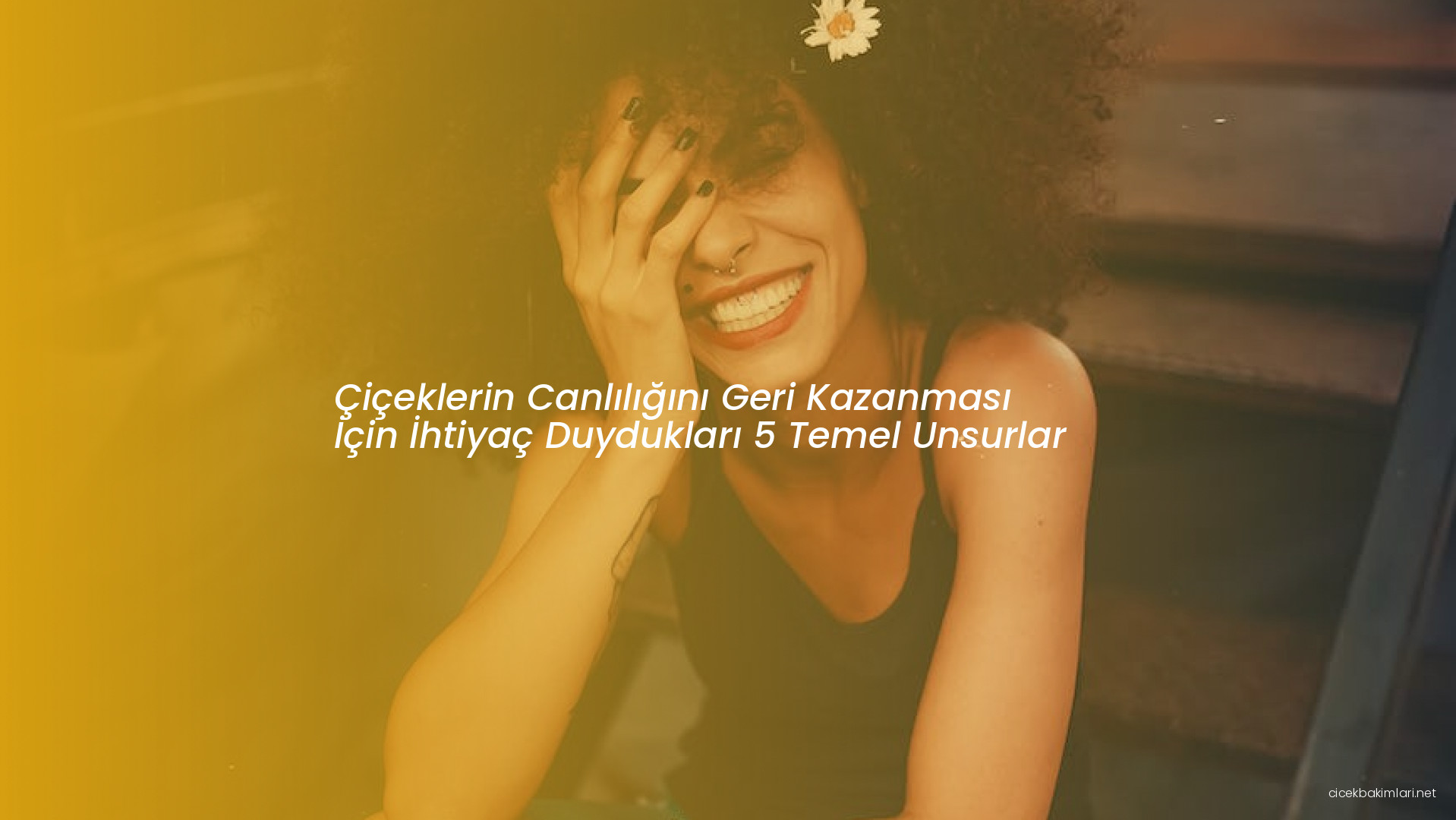 Çiçeklerin Canlılığını Geri Kazanması İçin İhtiyaç Duydukları 5 Temel Unsurlar