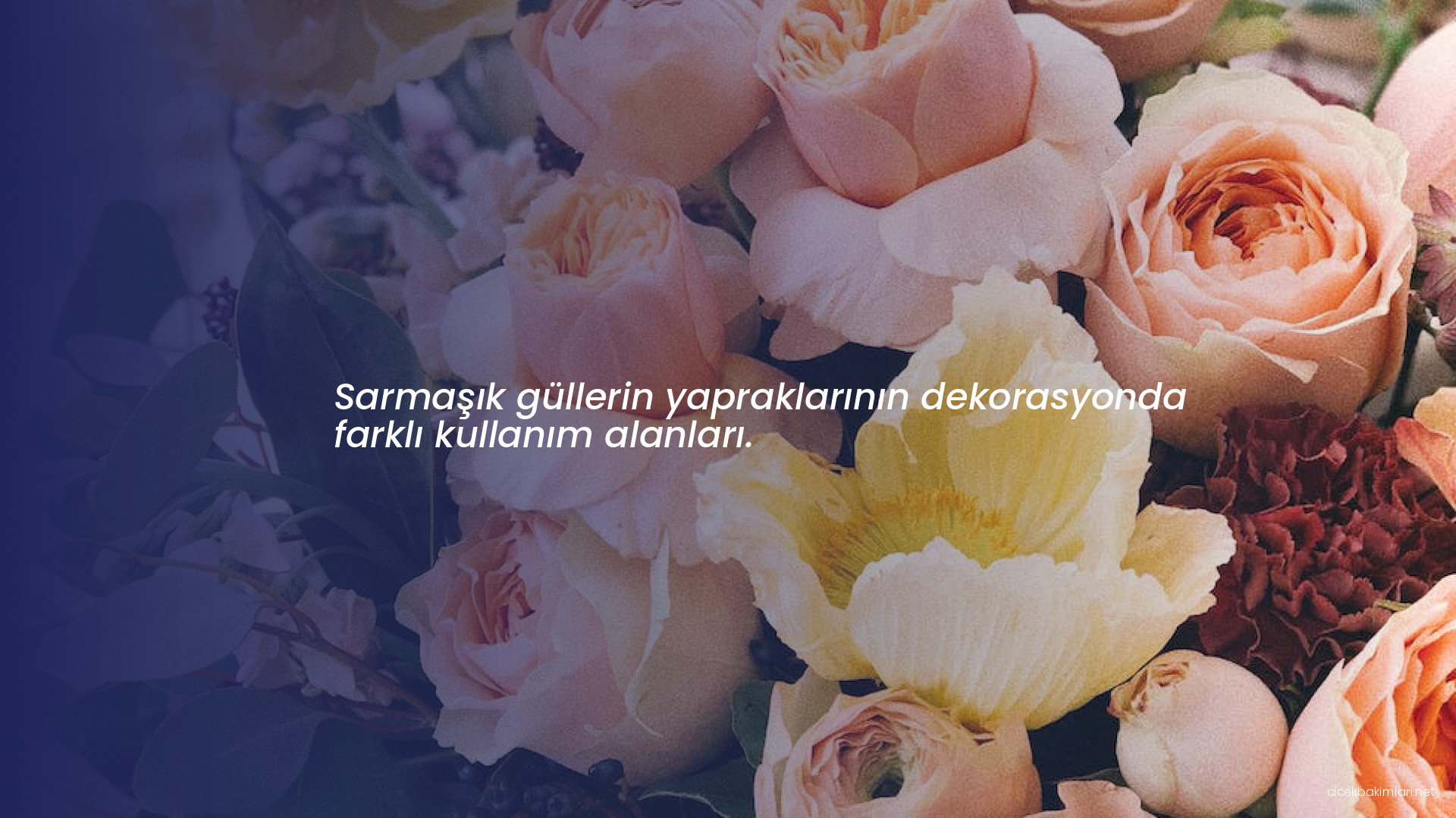 Sarmaşık güllerin yapraklarının dekorasyonda farklı kullanım alanları.