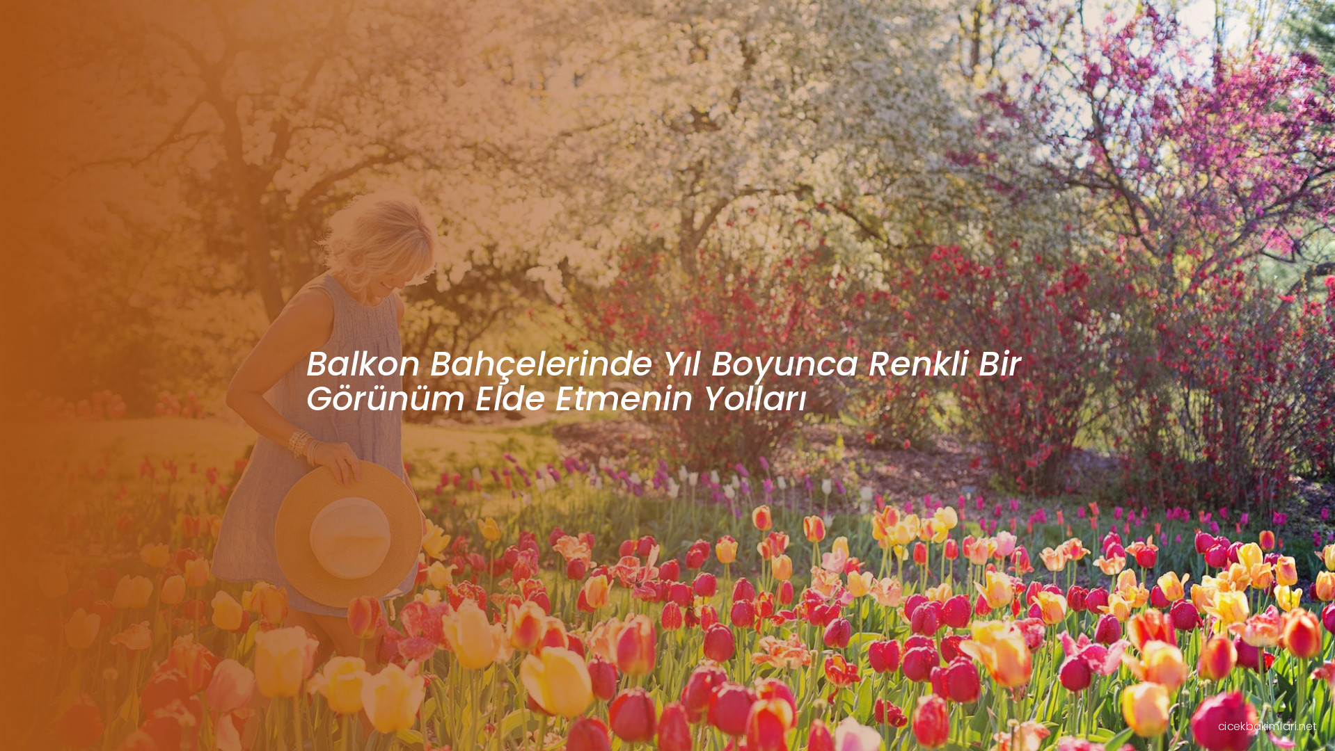 Balkon Bahçelerinde Yıl Boyunca Renkli Bir Görünüm Elde Etmenin Yolları