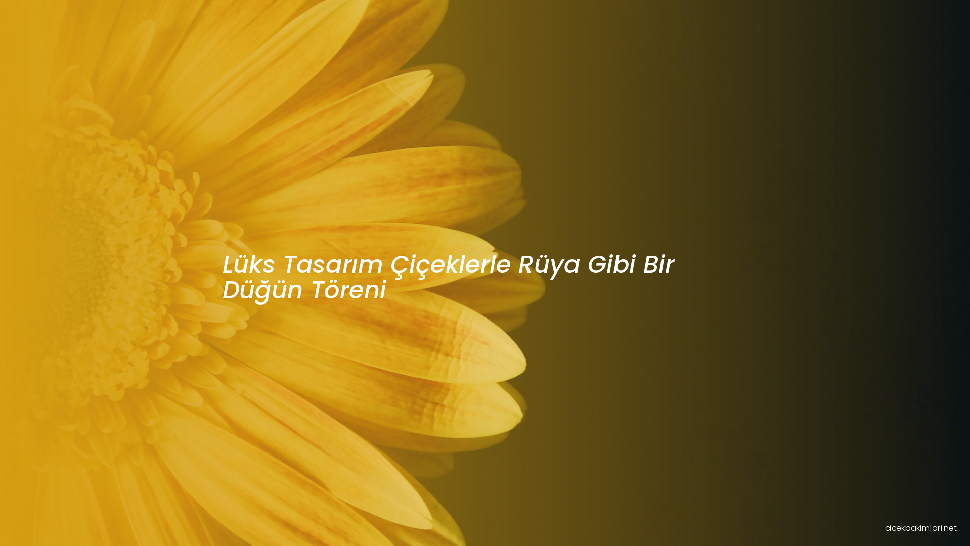 Lüks Tasarım Çiçeklerle Rüya Gibi Bir Düğün Töreni