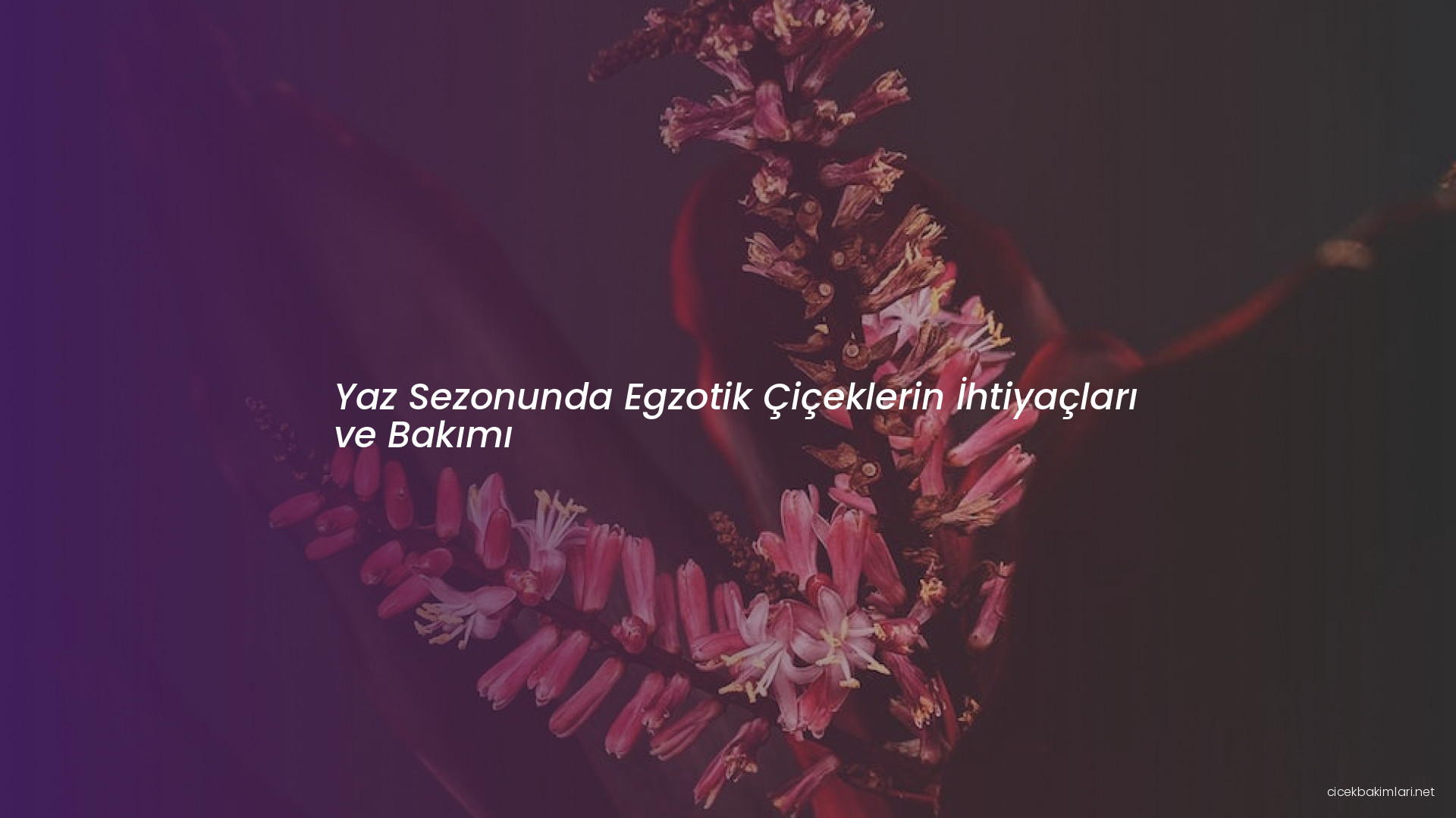 Yaz Sezonunda Egzotik Çiçeklerin İhtiyaçları ve Bakımı