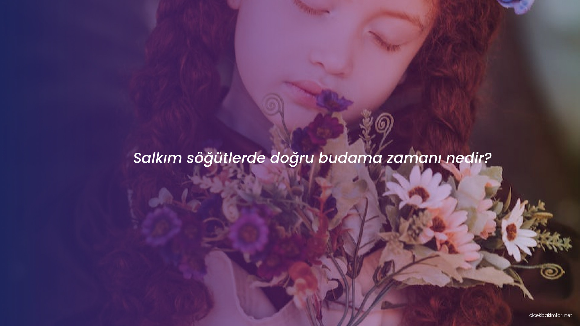 Salkım söğütlerde doğru budama zamanı nedir?