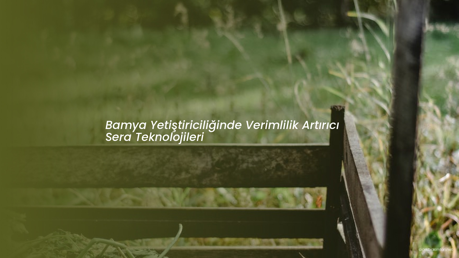 Bamya Yetiştiriciliğinde Verimlilik Artırıcı Sera Teknolojileri