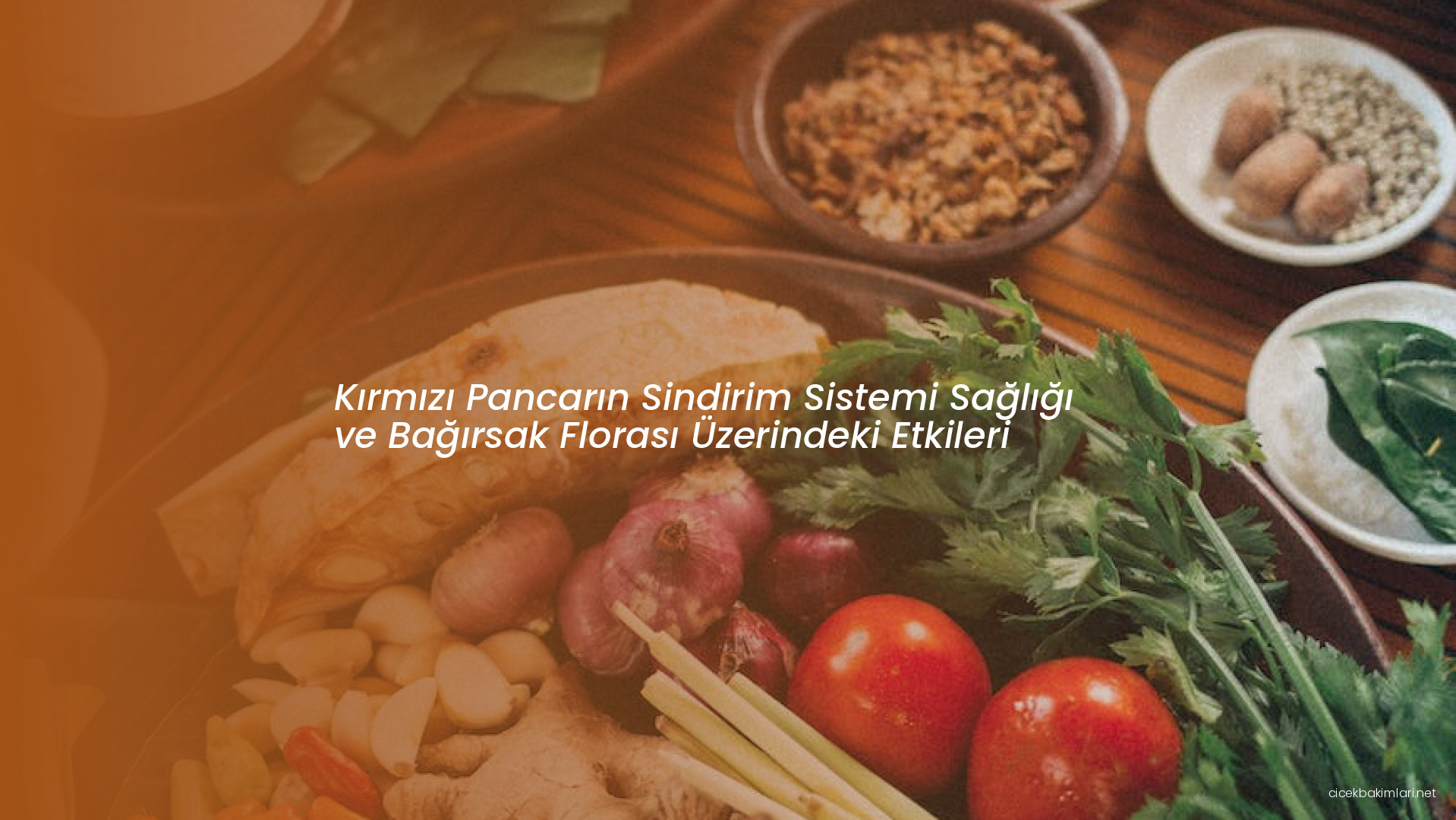 Kırmızı Pancarın Sindirim Sistemi Sağlığı ve Bağırsak Florası Üzerindeki Etkileri