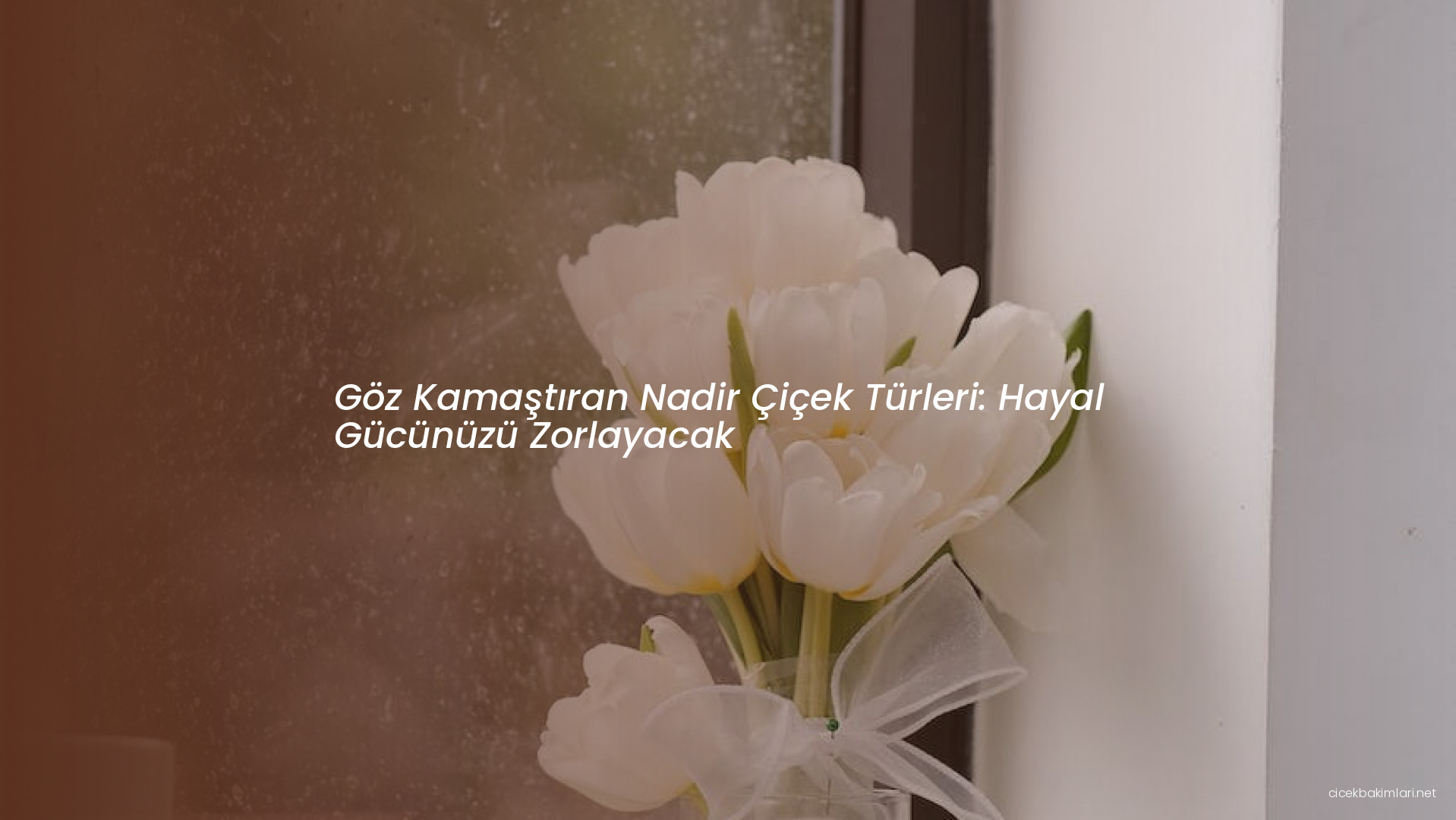 Göz Kamaştıran Nadir Çiçek Türleri: Hayal Gücünüzü Zorlayacak