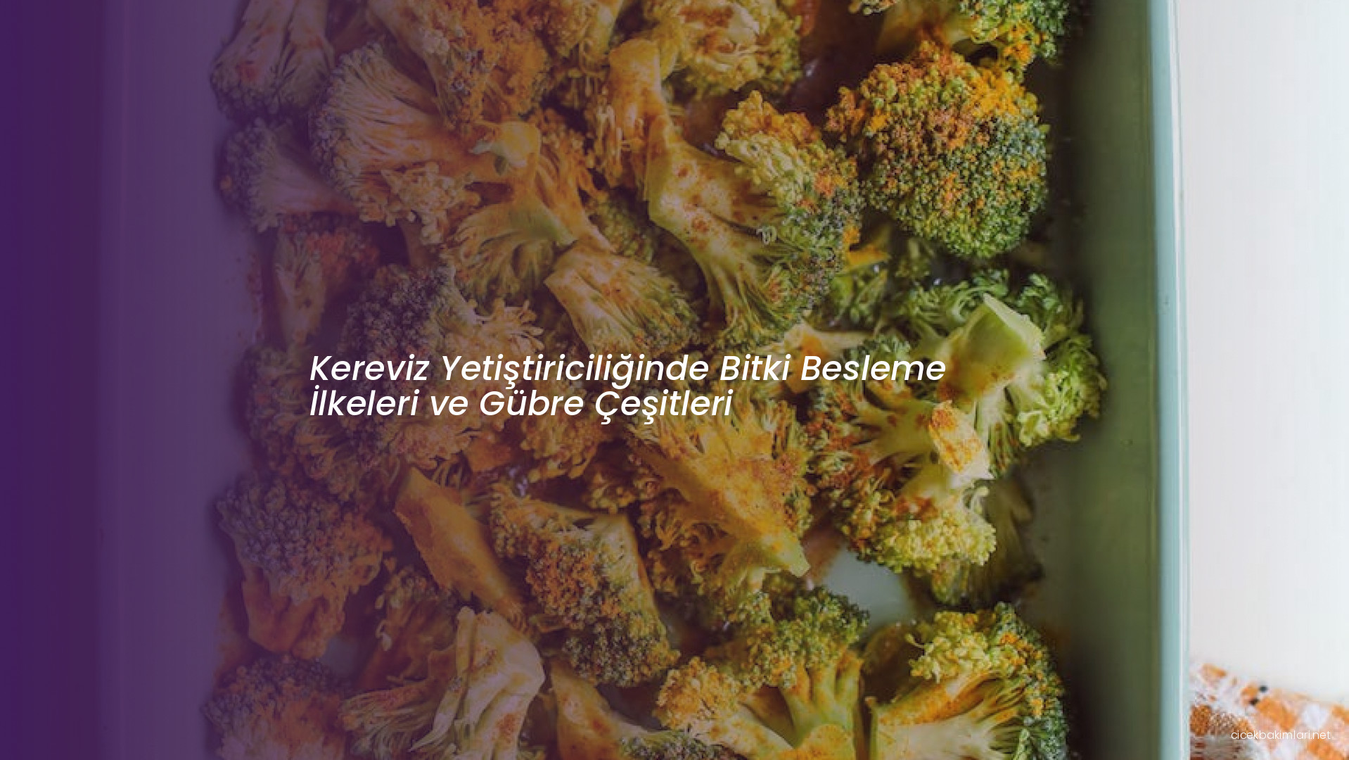 Kereviz Yetiştiriciliğinde Bitki Besleme İlkeleri ve Gübre Çeşitleri