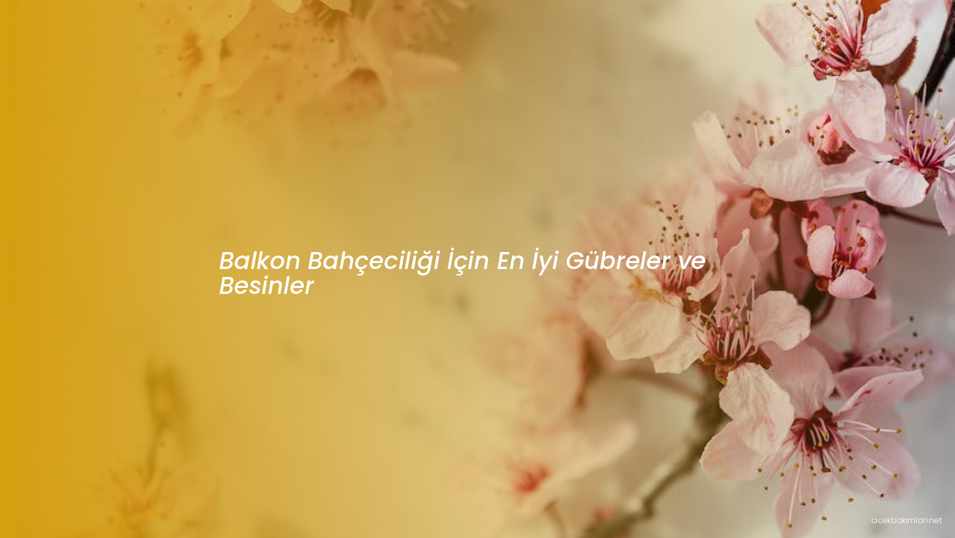 Balkon Bahçeciliği İçin En İyi Gübreler ve Besinler