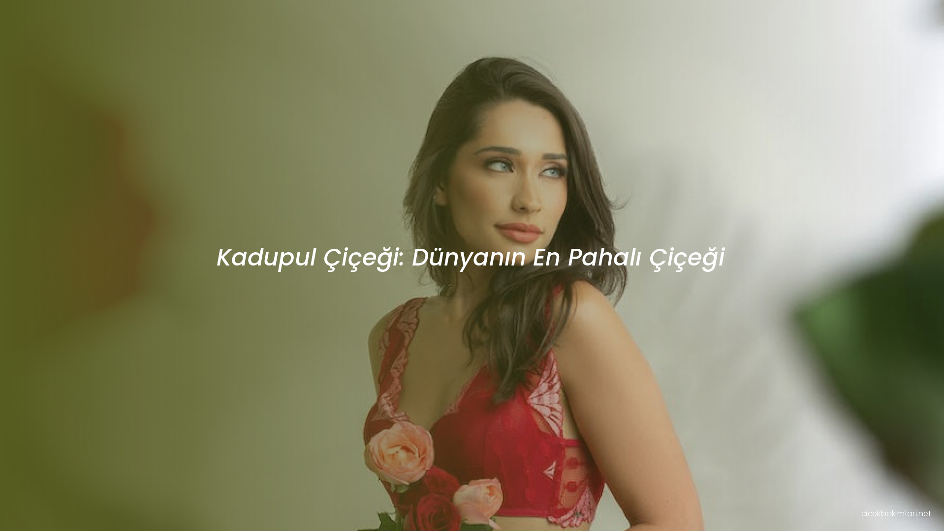 Kadupul Çiçeği: Dünyanın En Pahalı Çiçeği