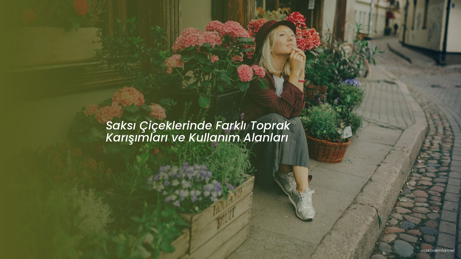 Saksı Çiçeklerinde Farklı Toprak Karışımları ve Kullanım Alanları
