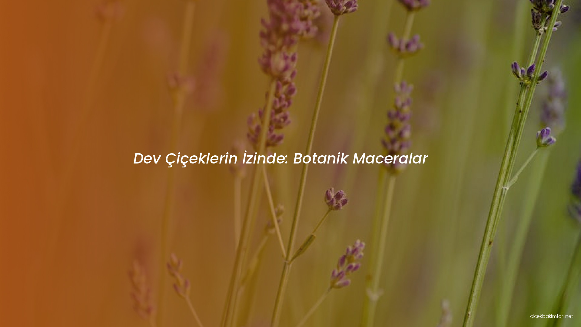 Dev Çiçeklerin İzinde: Botanik Maceralar