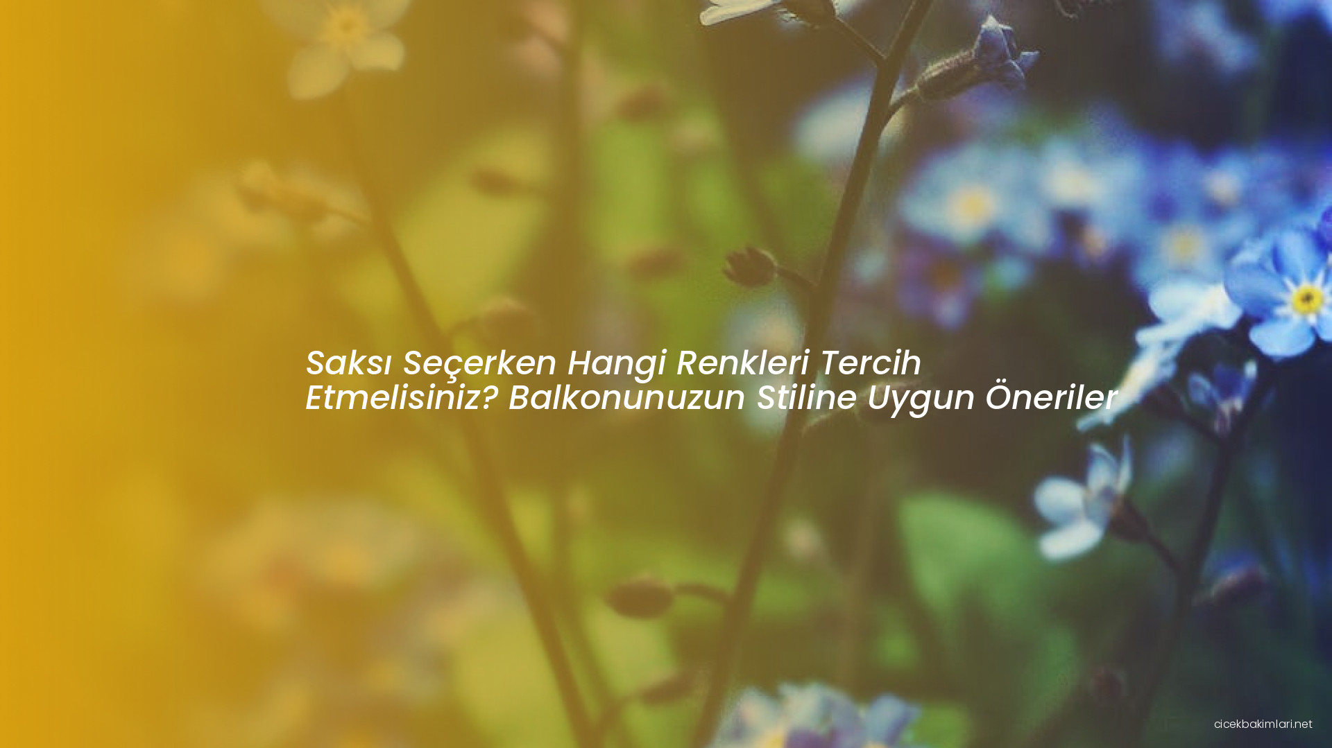 Saksı Seçerken Hangi Renkleri Tercih Etmelisiniz? Balkonunuzun Stiline Uygun Öneriler