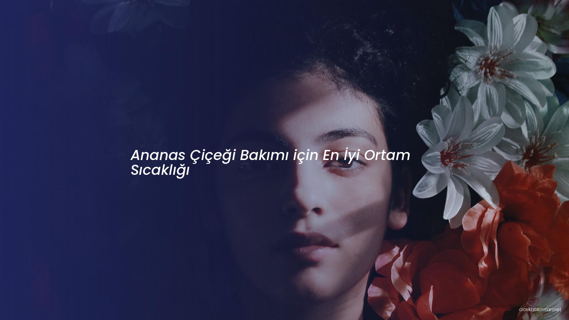 Ananas Çiçeği Bakımı için En İyi Ortam Sıcaklığı