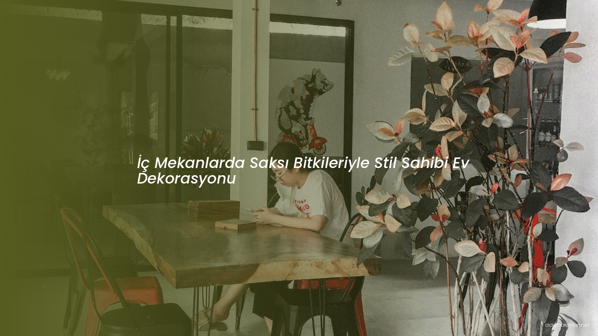 İç Mekanlarda Saksı Bitkileriyle Stil Sahibi Ev Dekorasyonu