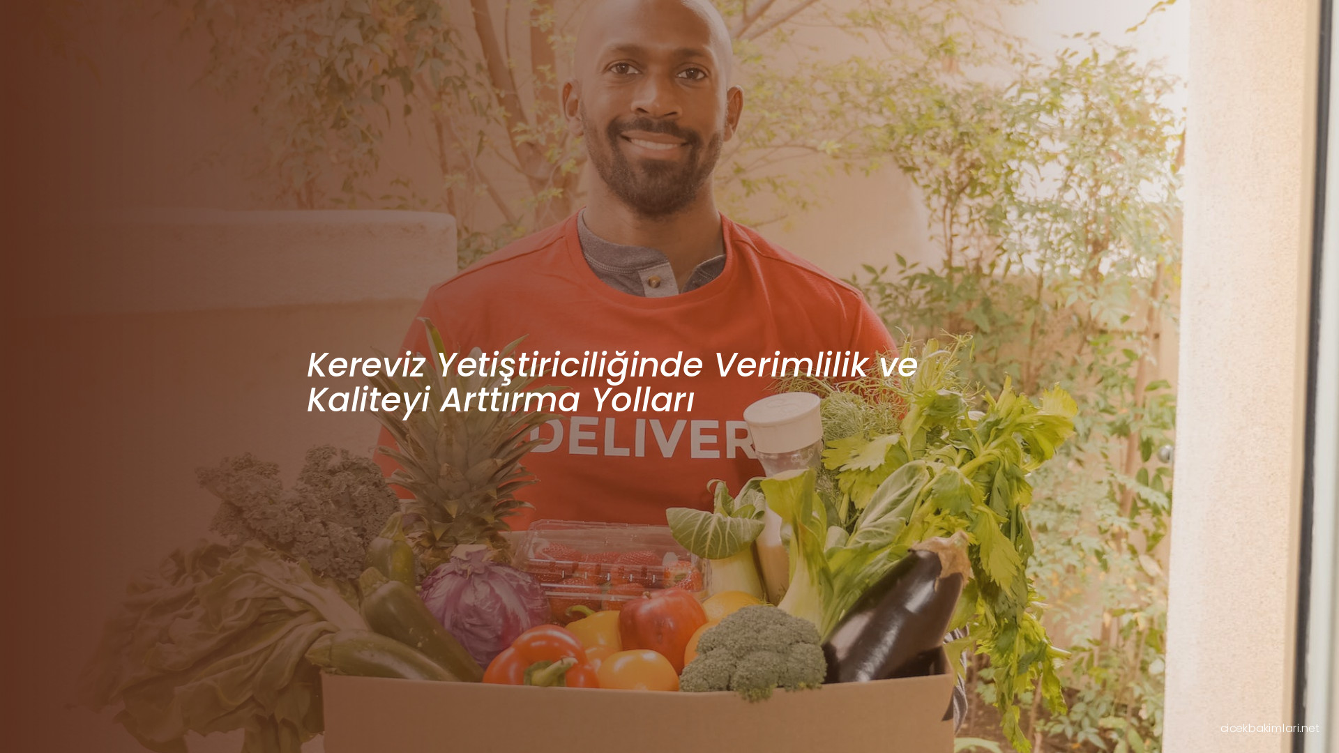 Kereviz Yetiştiriciliğinde Verimlilik ve Kaliteyi Arttırma Yolları