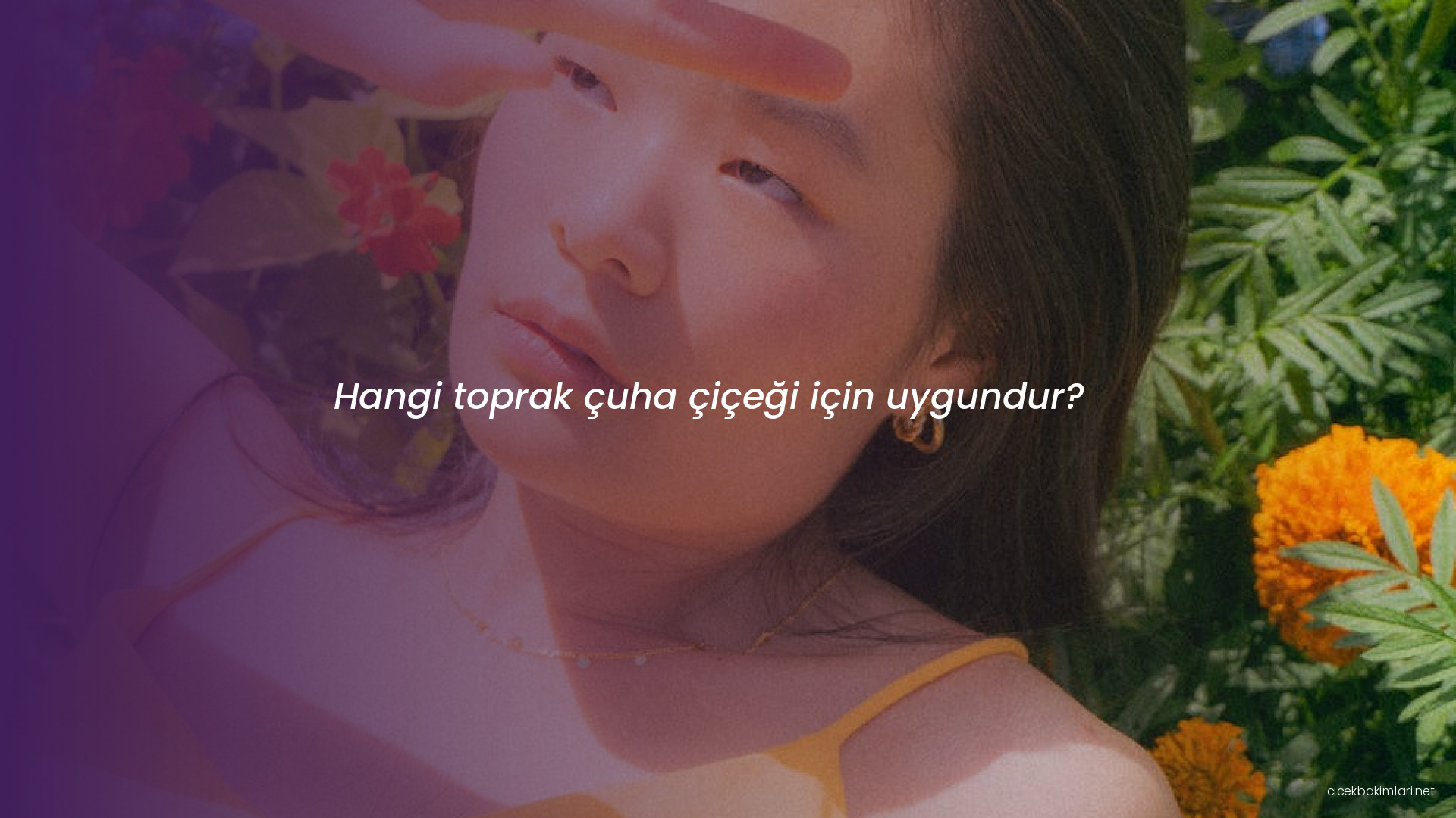 Hangi toprak çuha çiçeği için uygundur?