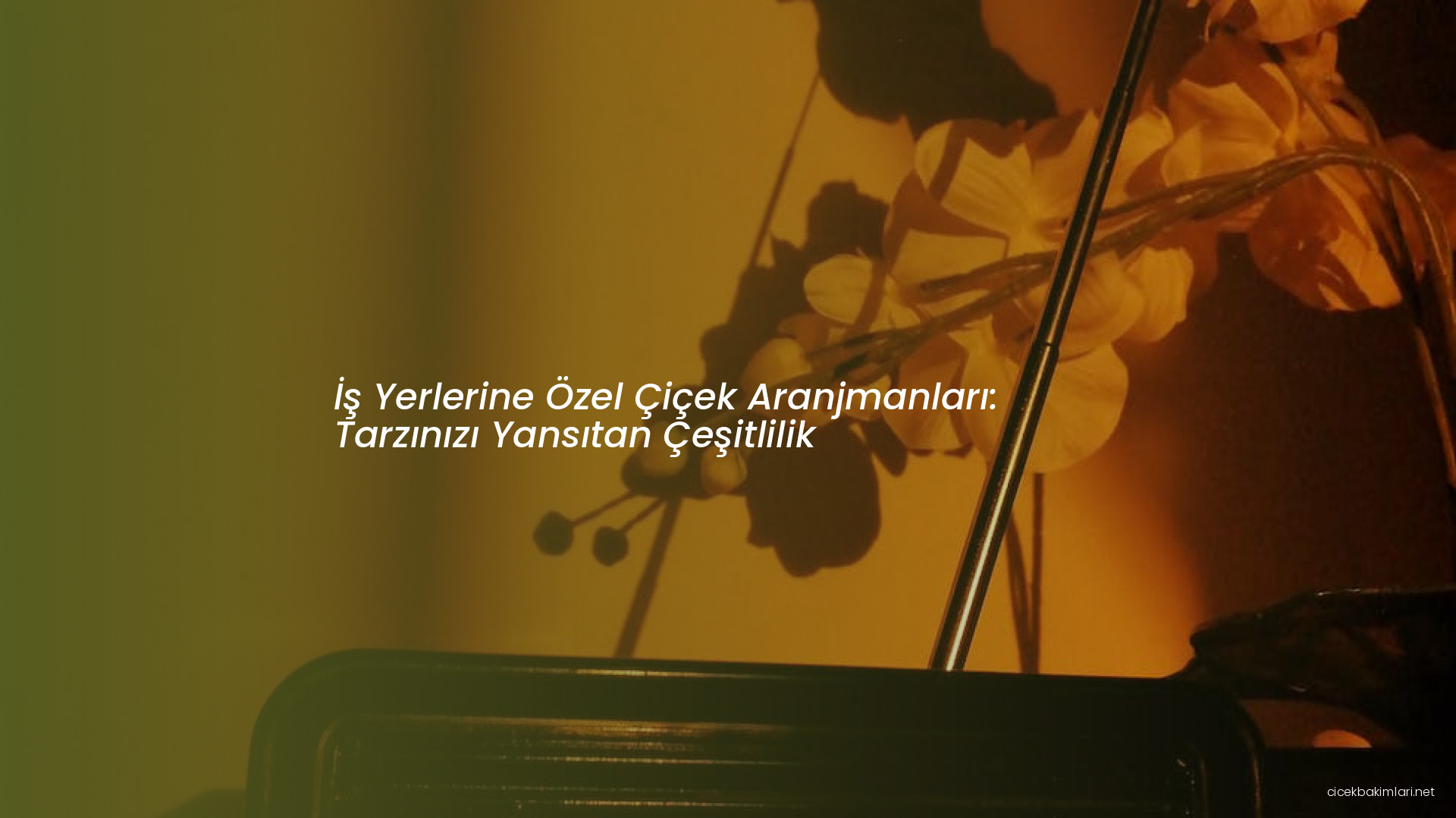 İş Yerlerine Özel Çiçek Aranjmanları: Tarzınızı Yansıtan Çeşitlilik