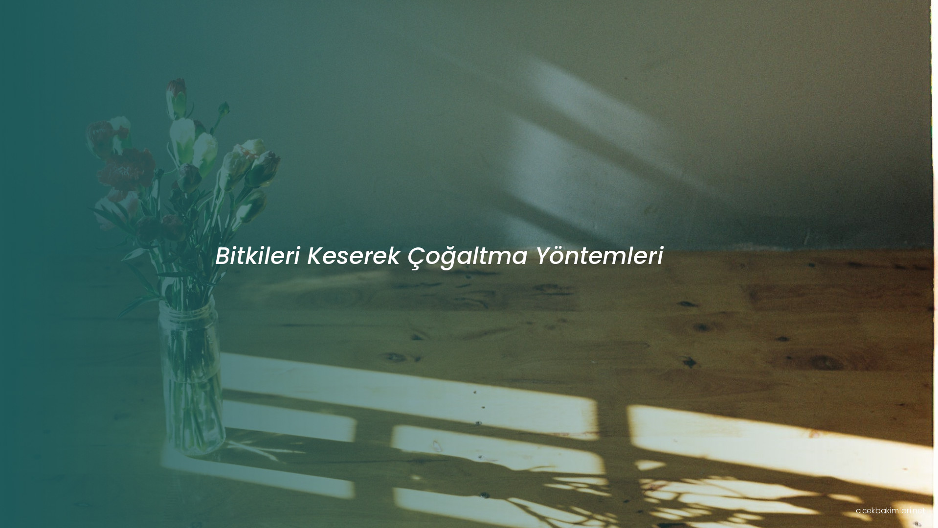 Bitkileri Keserek Çoğaltma Yöntemleri