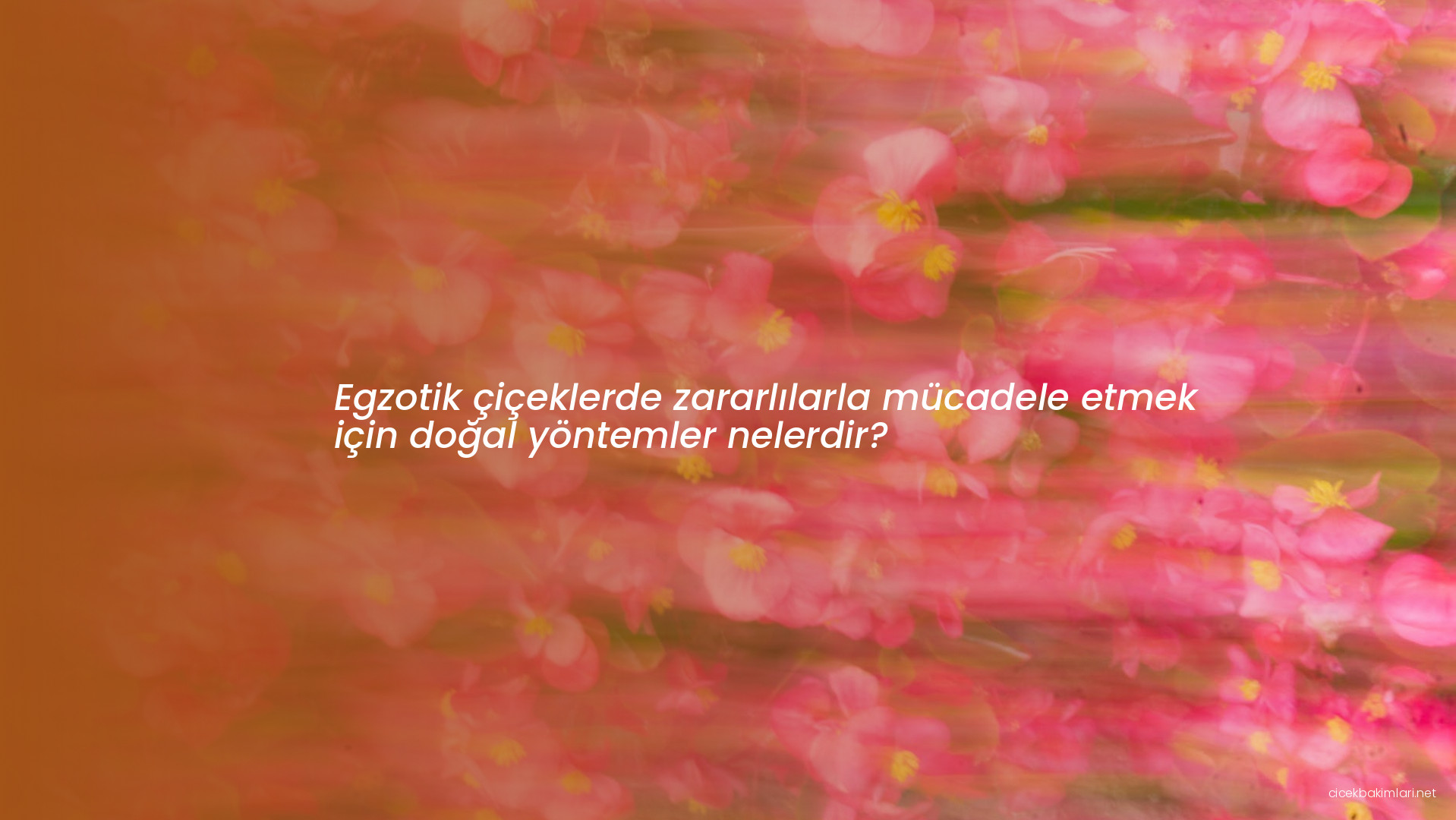 Egzotik çiçeklerde zararlılarla mücadele etmek için doğal yöntemler nelerdir?