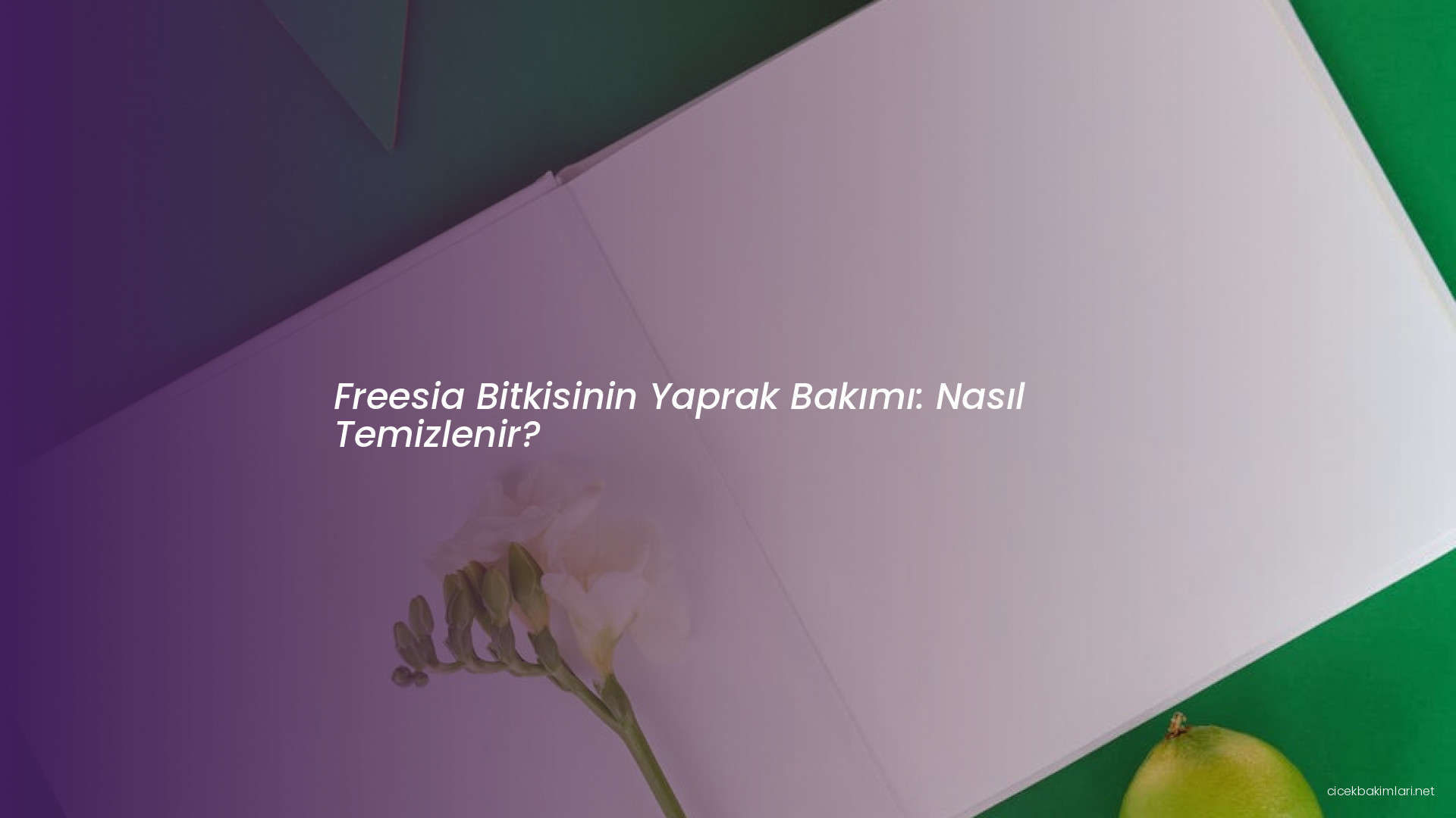 Freesia Bitkisinin Yaprak Bakımı: Nasıl Temizlenir?