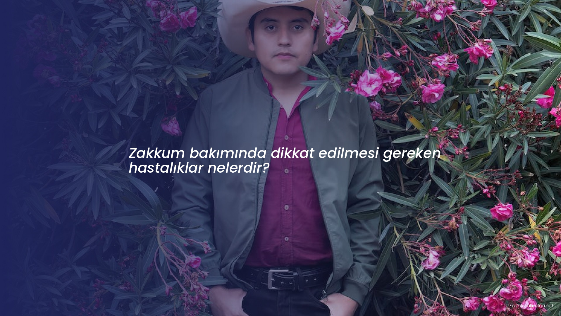 Zakkum bakımında dikkat edilmesi gereken hastalıklar nelerdir?