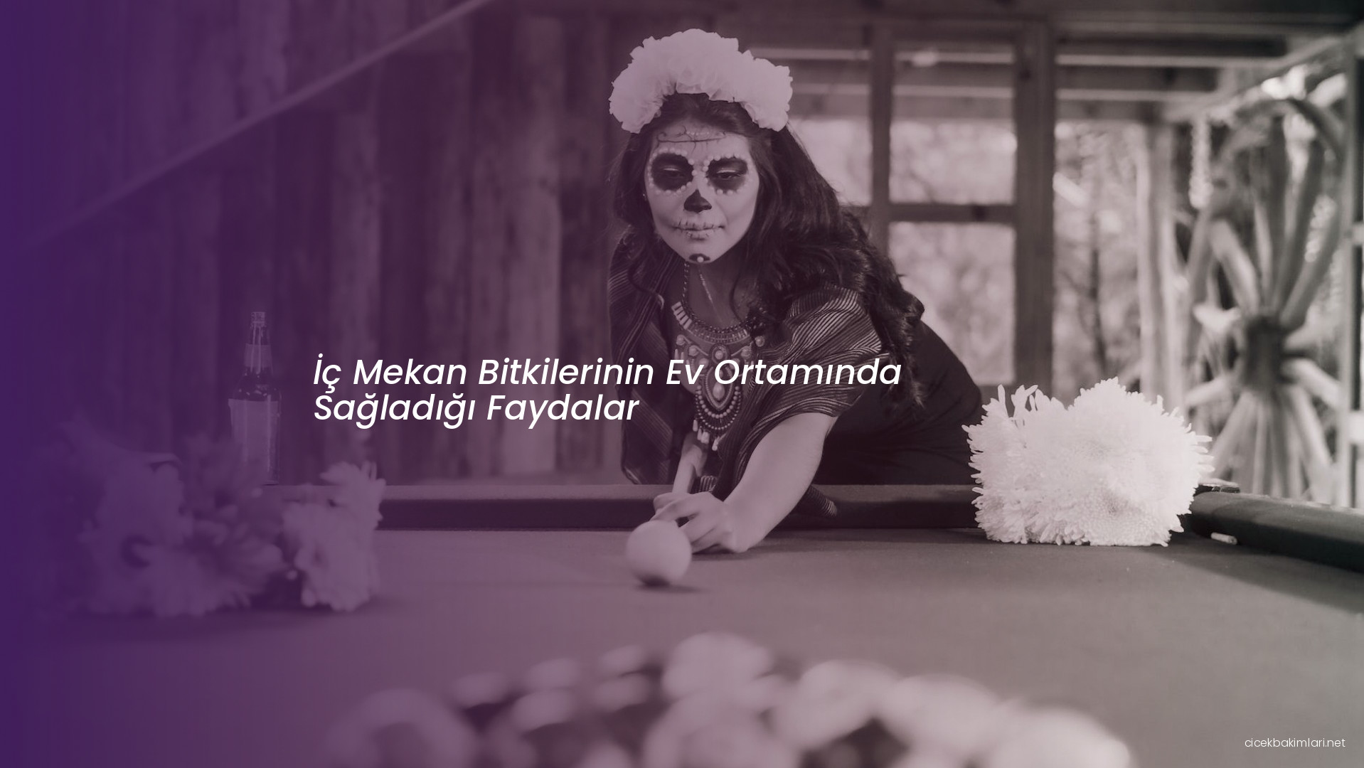 İç Mekan Bitkilerinin Ev Ortamında Sağladığı Faydalar