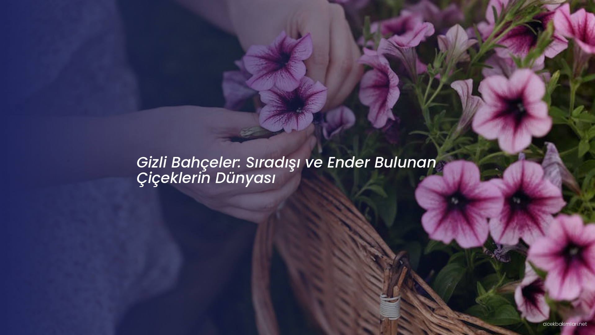 Gizli Bahçeler: Sıradışı ve Ender Bulunan Çiçeklerin Dünyası
