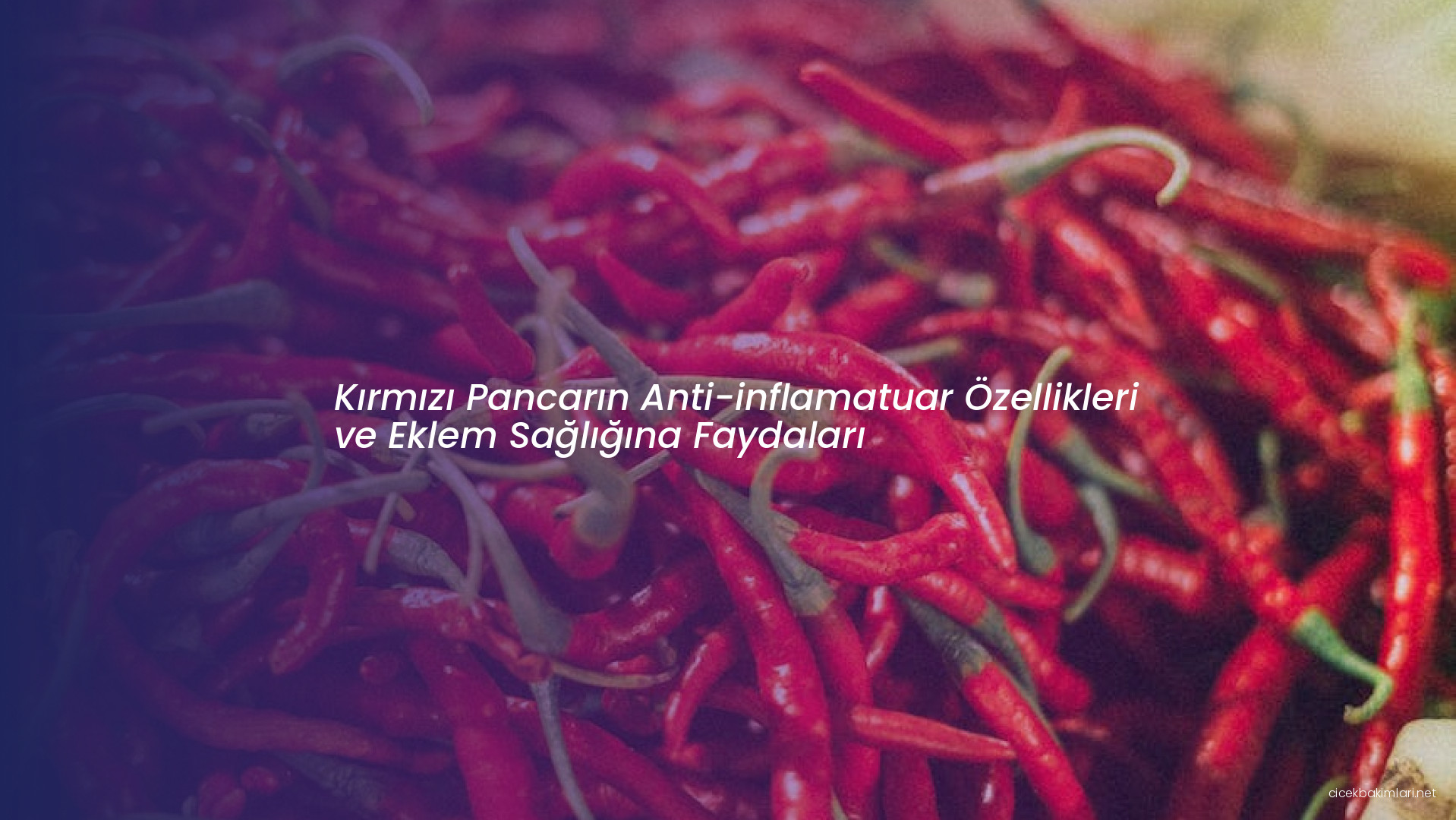 Kırmızı Pancarın Anti-inflamatuar Özellikleri ve Eklem Sağlığına Faydaları