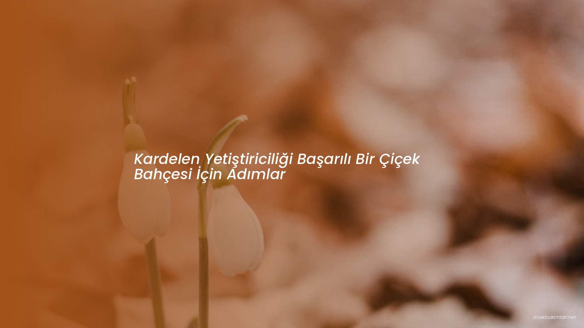 Kardelen Yetiştiriciliği Başarılı Bir Çiçek Bahçesi İçin Adımlar